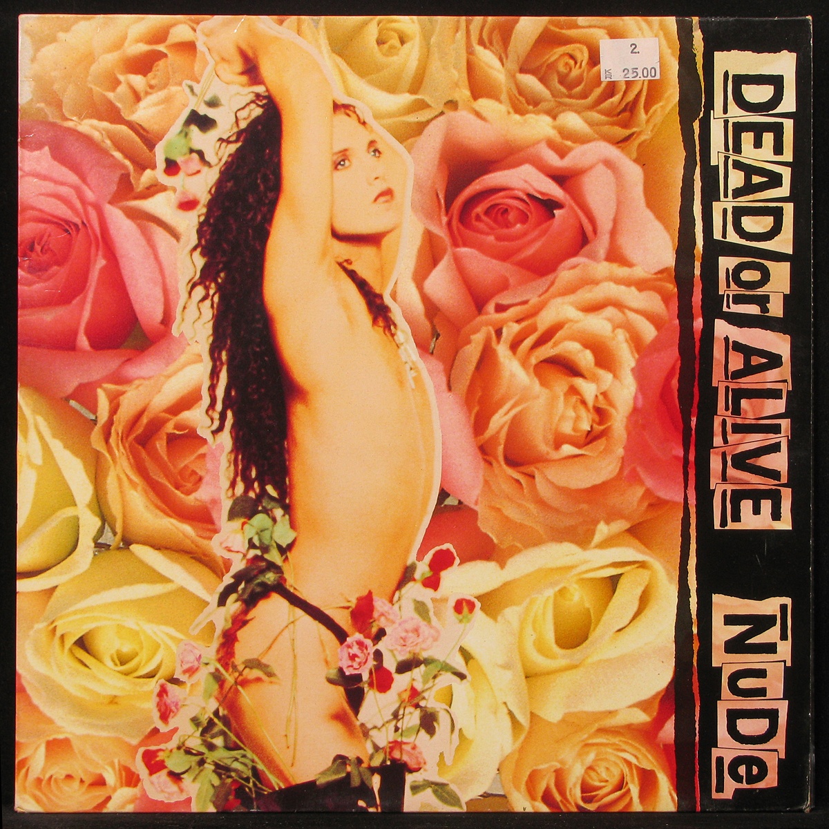 LP Dead Or Alive — Nude фото