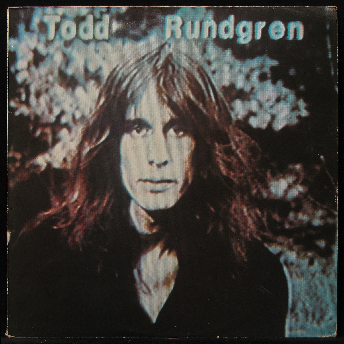 LP Todd Rundgren — Hermit Of Mink Hollow фото