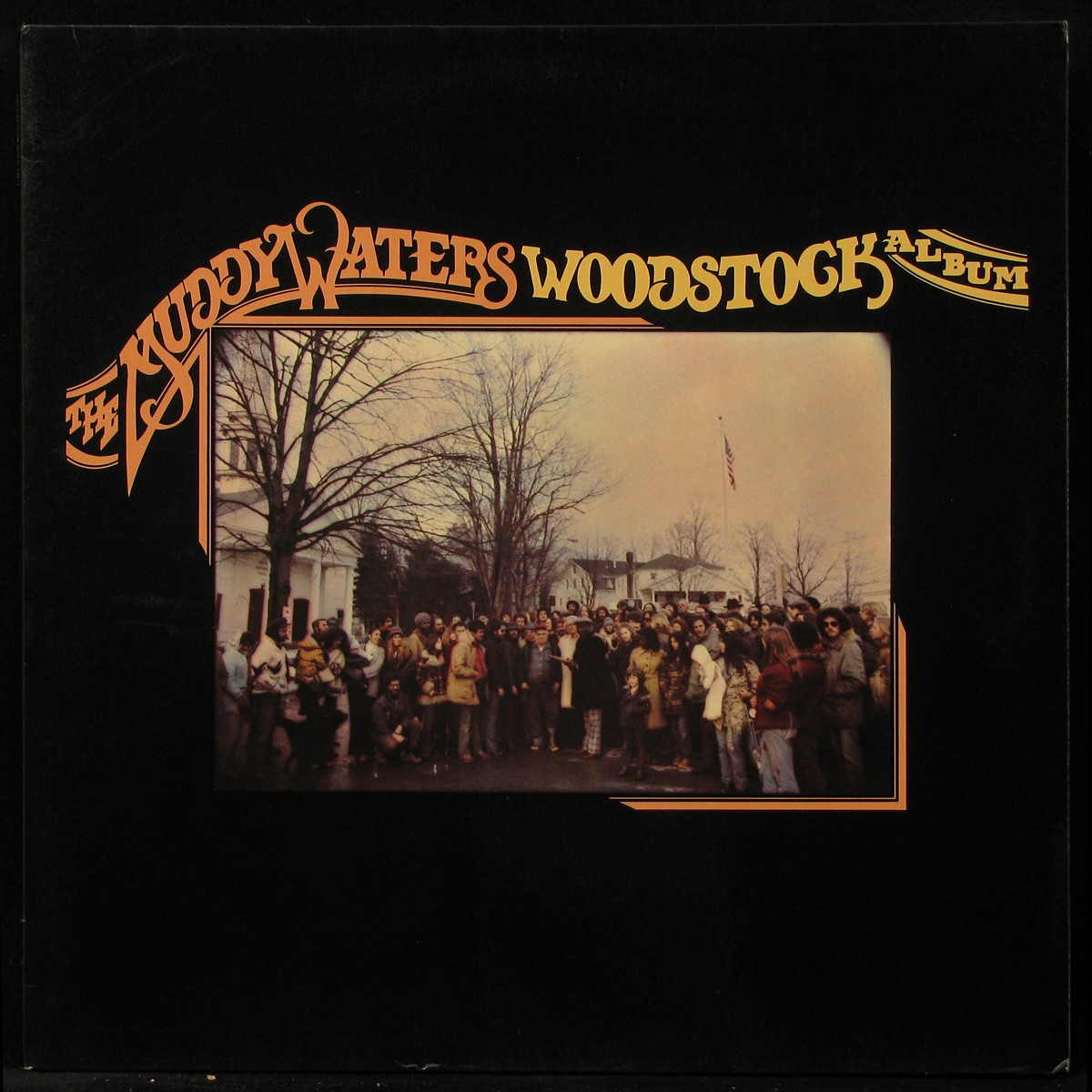 LP Muddy Waters — Woodstock Album фото