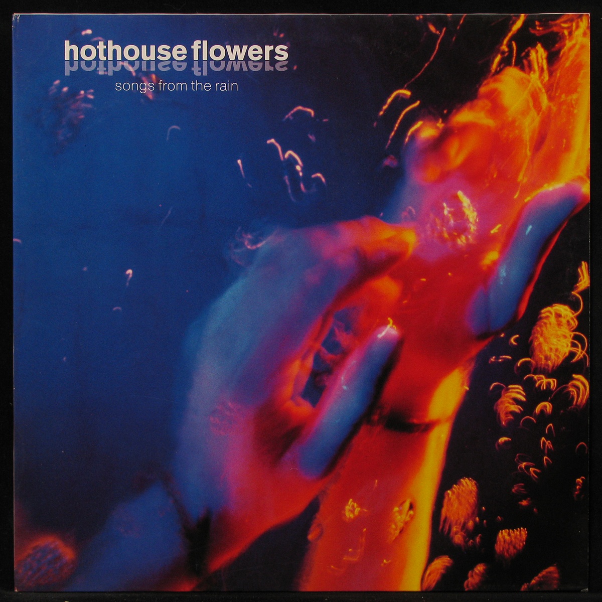 LP Hothouse Flowers — Songs From The Rain фото