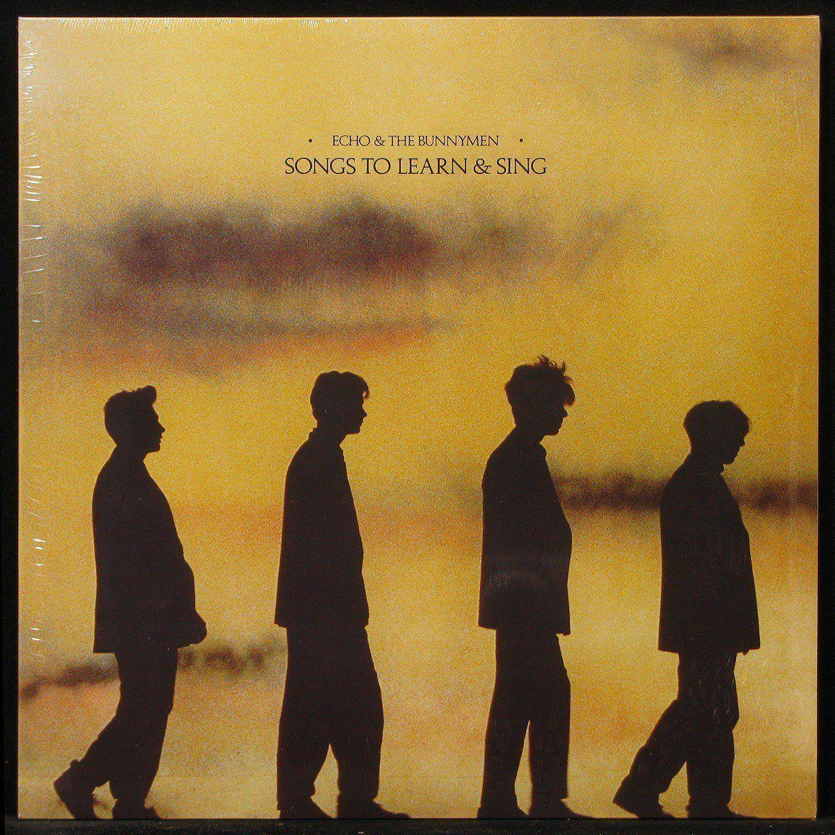 LP Echo & The Bunnymen — Songs To Learn And Sing фото
