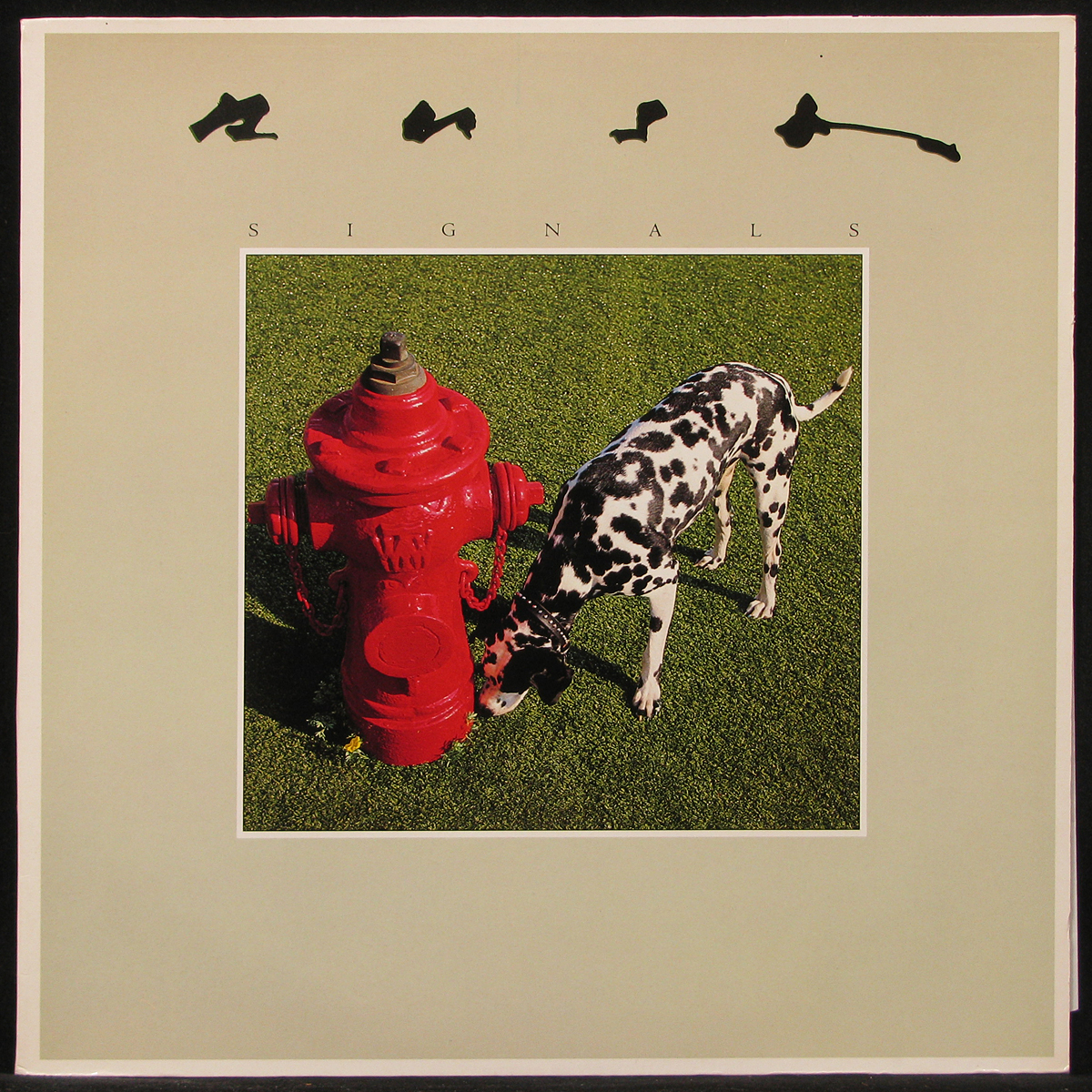 LP Rush — Signals фото