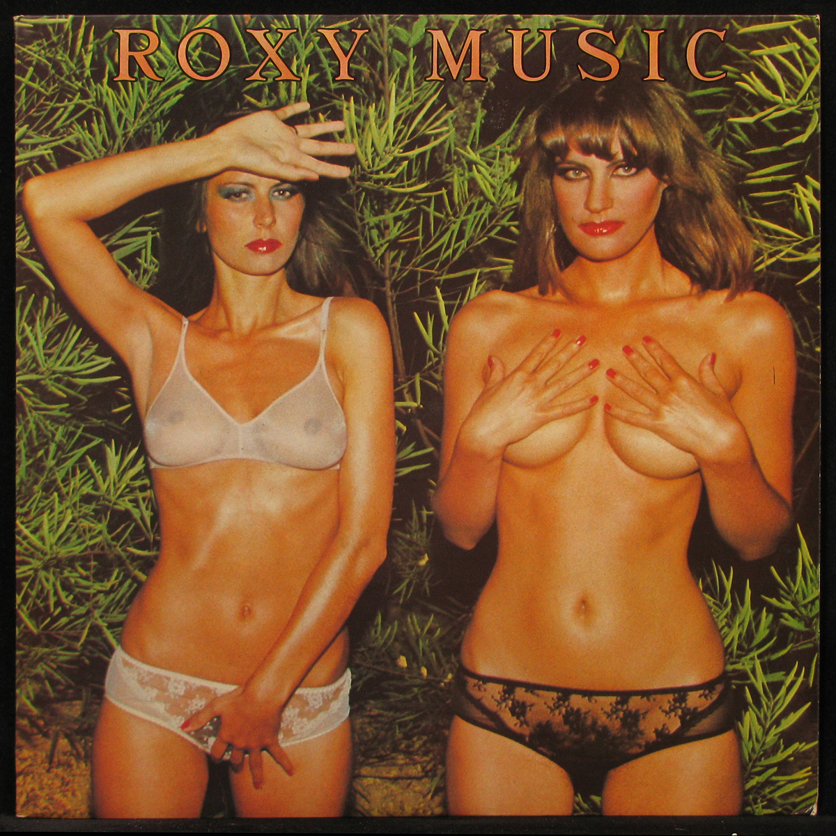 LP Roxy Music — Country Life фото