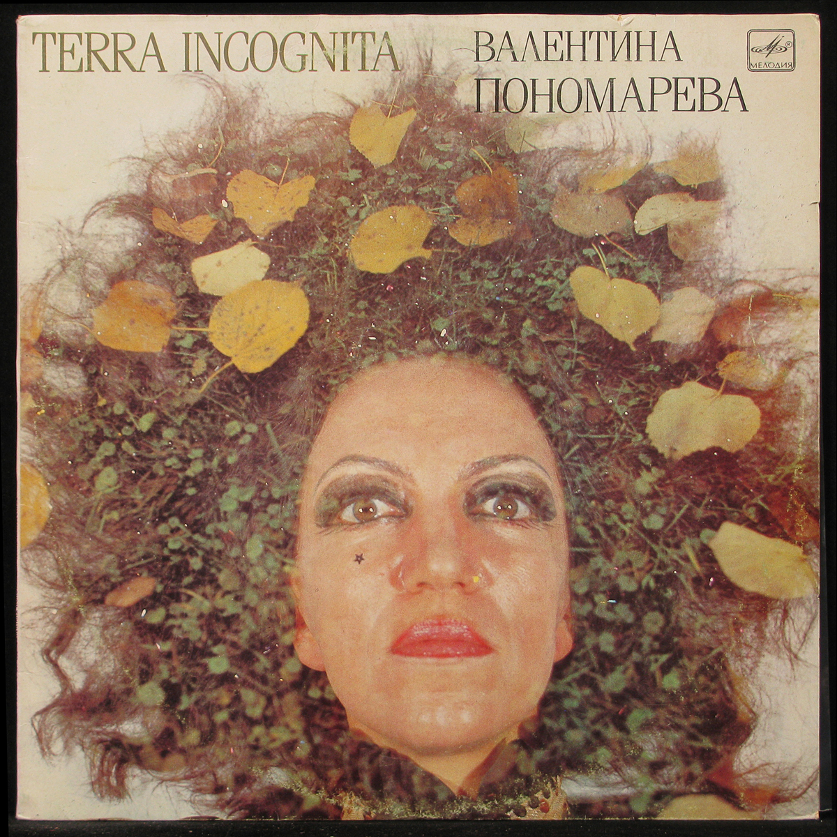 LP Валентина Пономарева — Terra Incognita фото