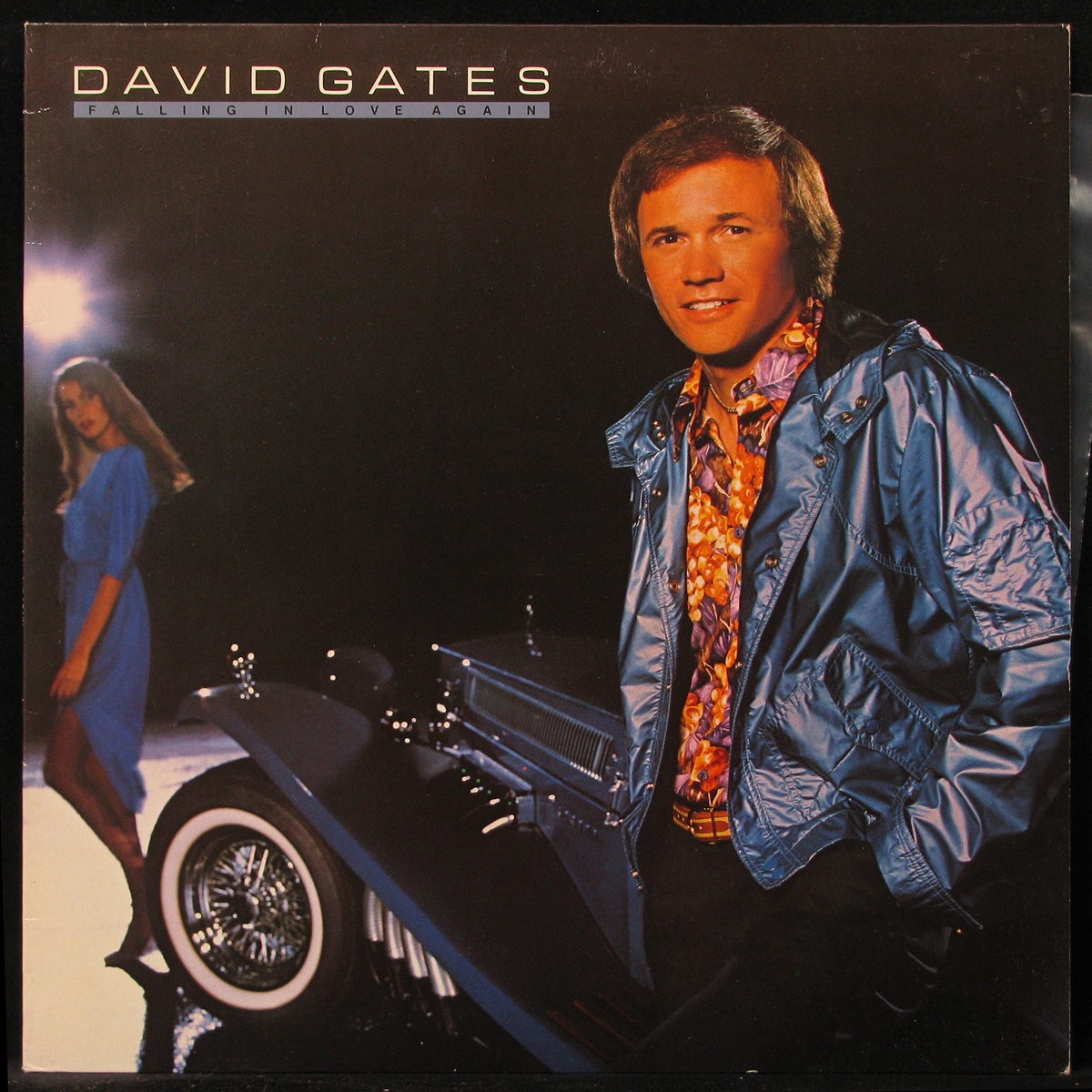 LP David Gates — Falling In Love Again фото