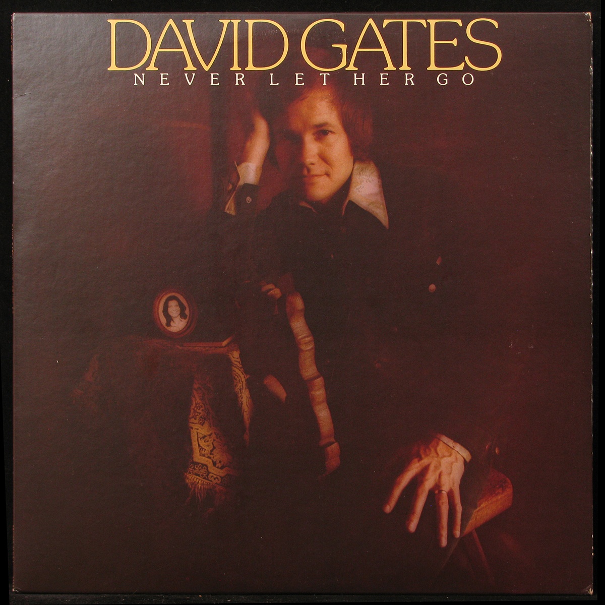 LP David Gates — Never Let Her Go фото