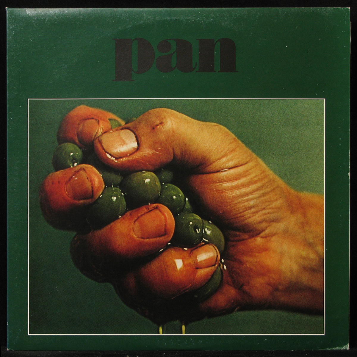 LP Pan — Pan фото