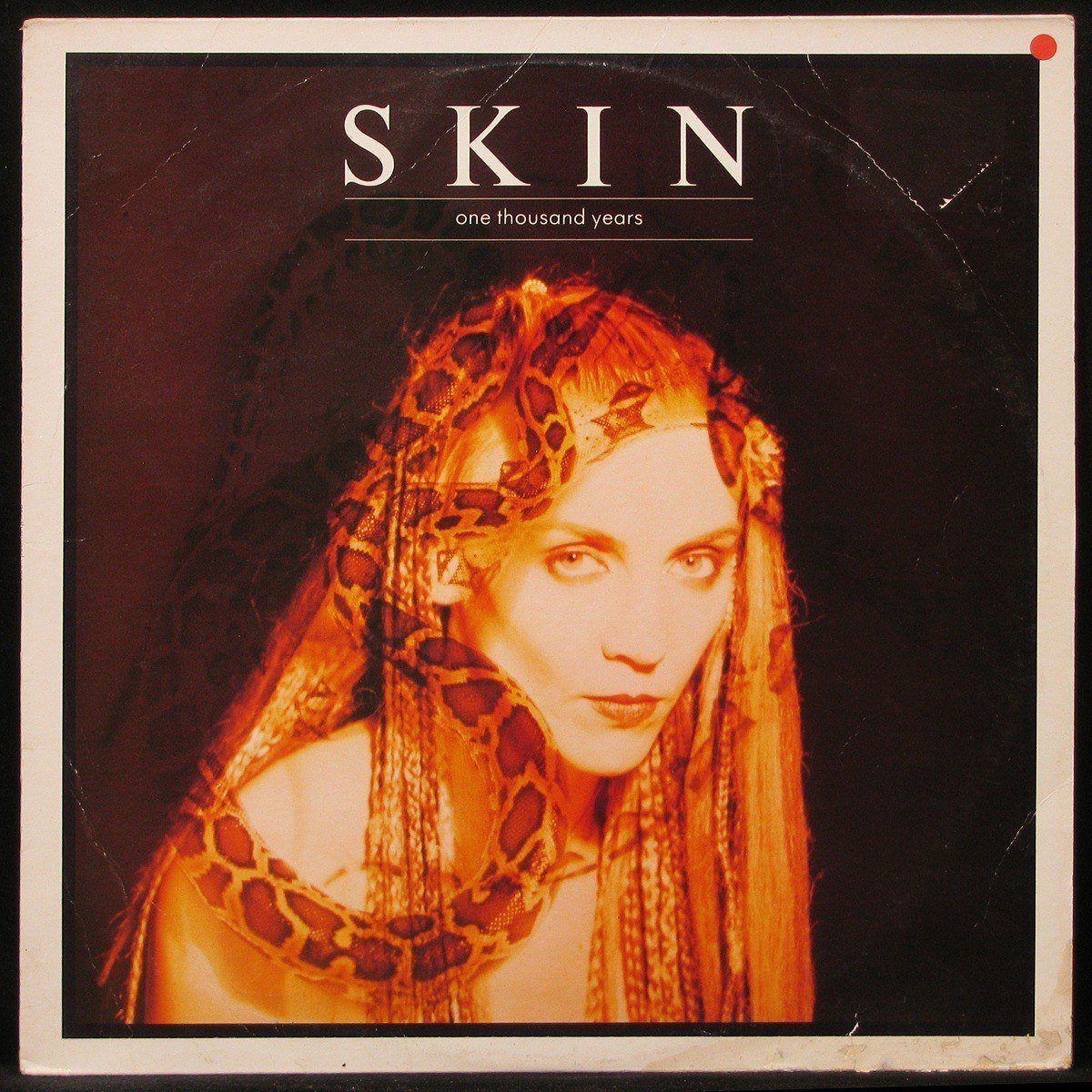 LP Skin — One Thousand Years (maxi) фото