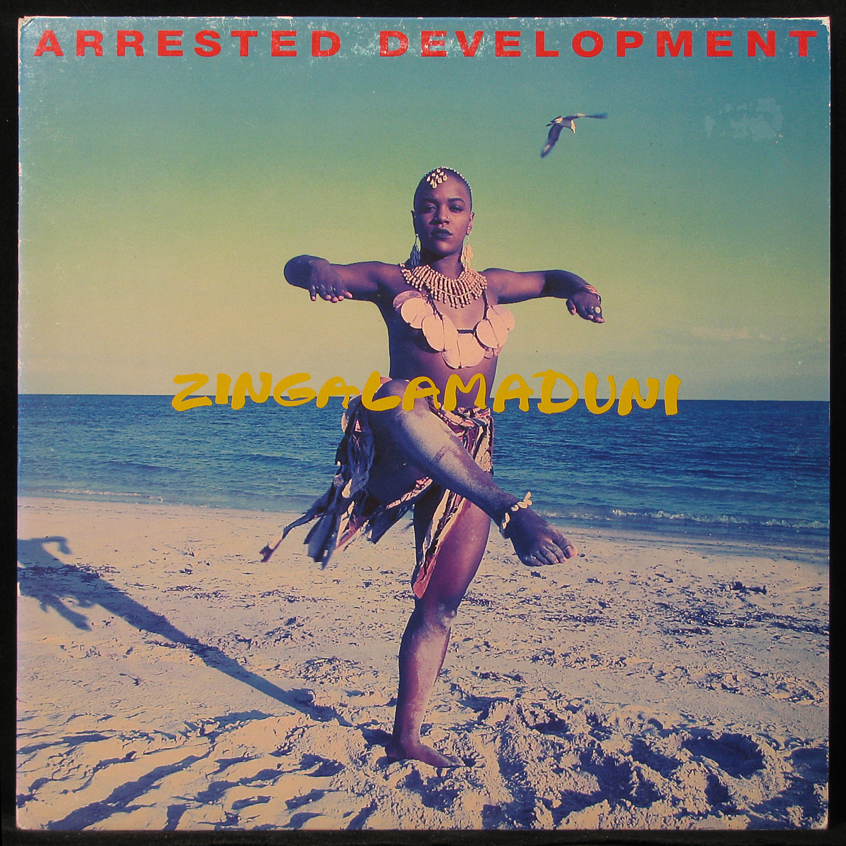 LP Arrested Development — Zingalamaduni (2LP) фото