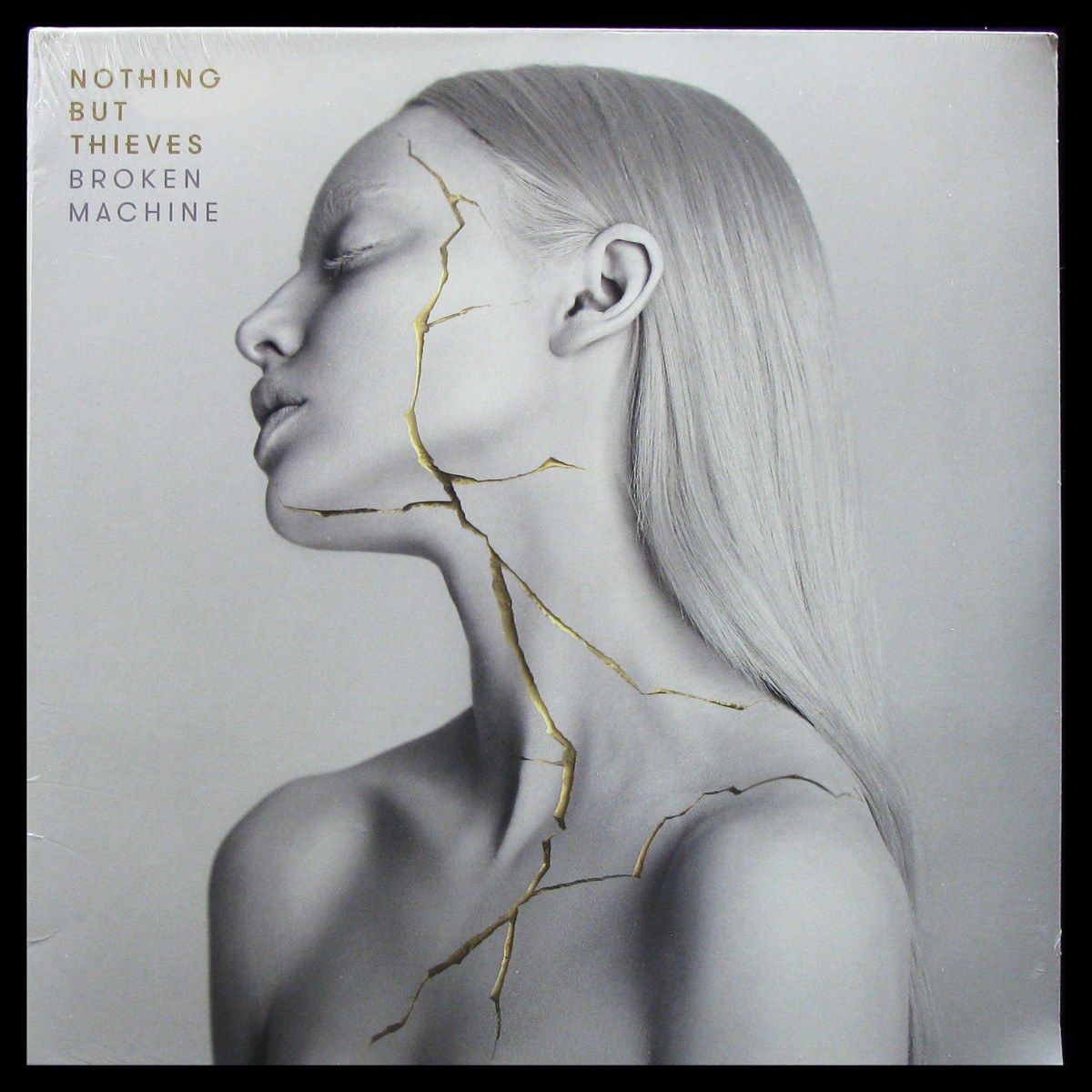 LP Nothing But Thieves — Broken Machine фото