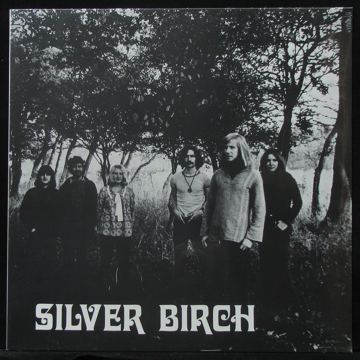 LP Silver Birch — Silver Birch фото