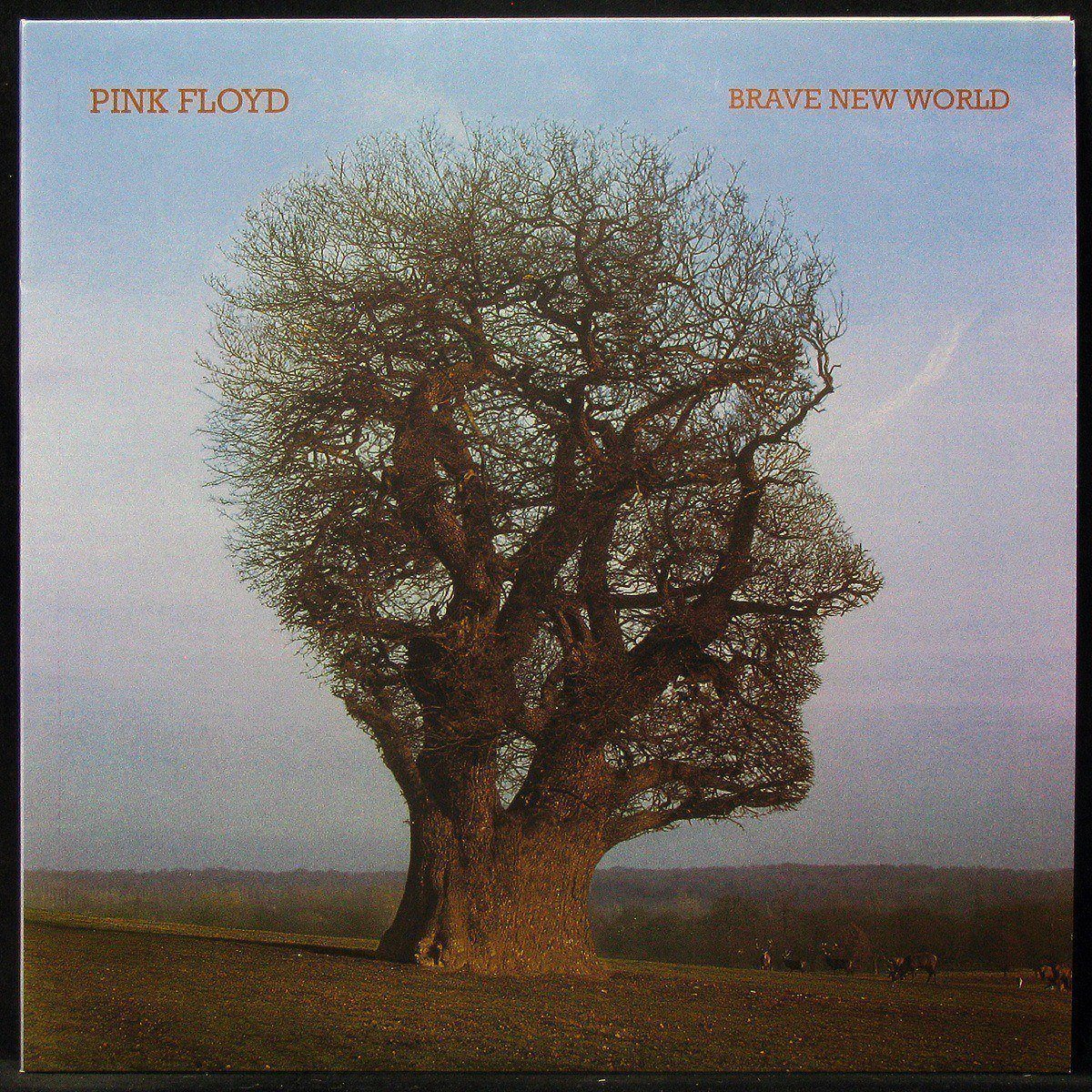 LP Pink Floyd — Brave New World (coloured vinyl) фото