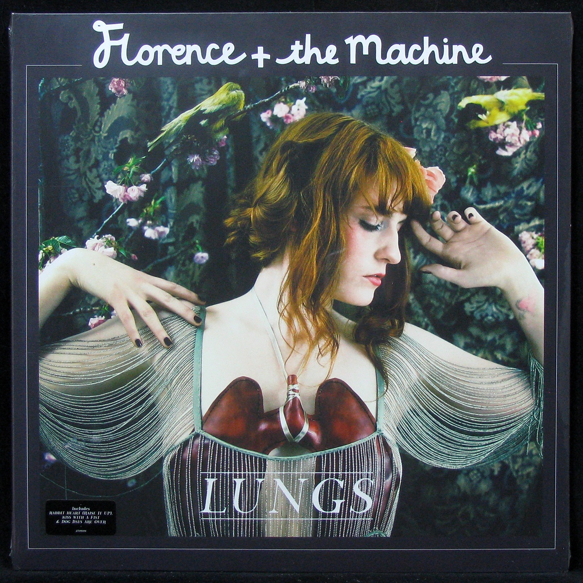 LP Florence + The Machine — Lungs фото