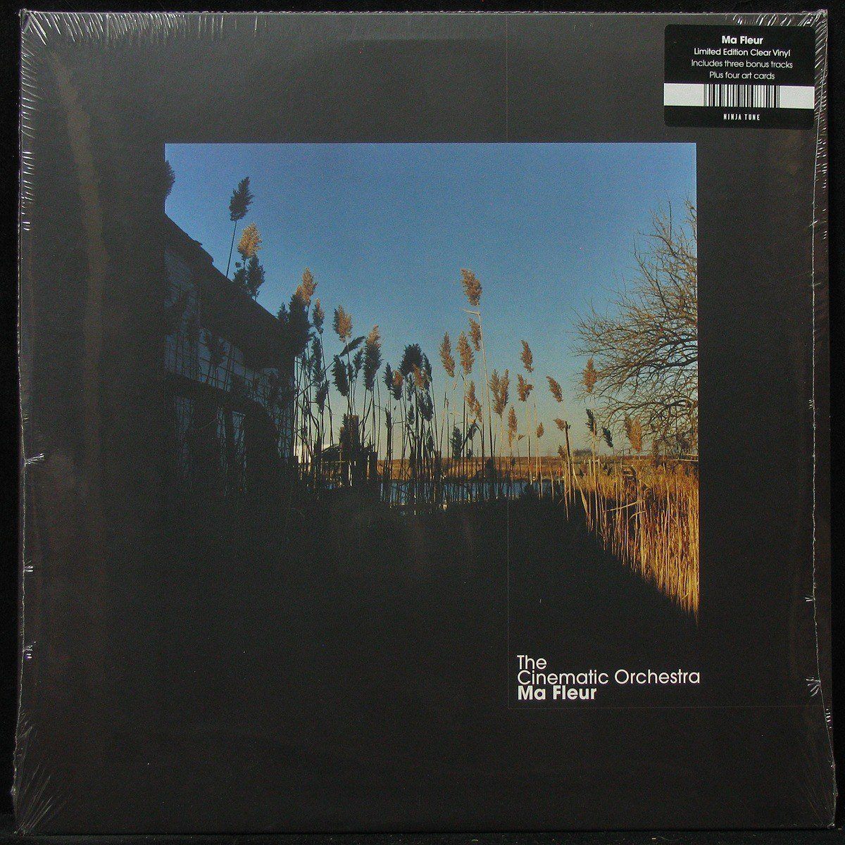 LP Cinematic Orchestra — Ma Fleur (2LP, coloured vinyl) фото