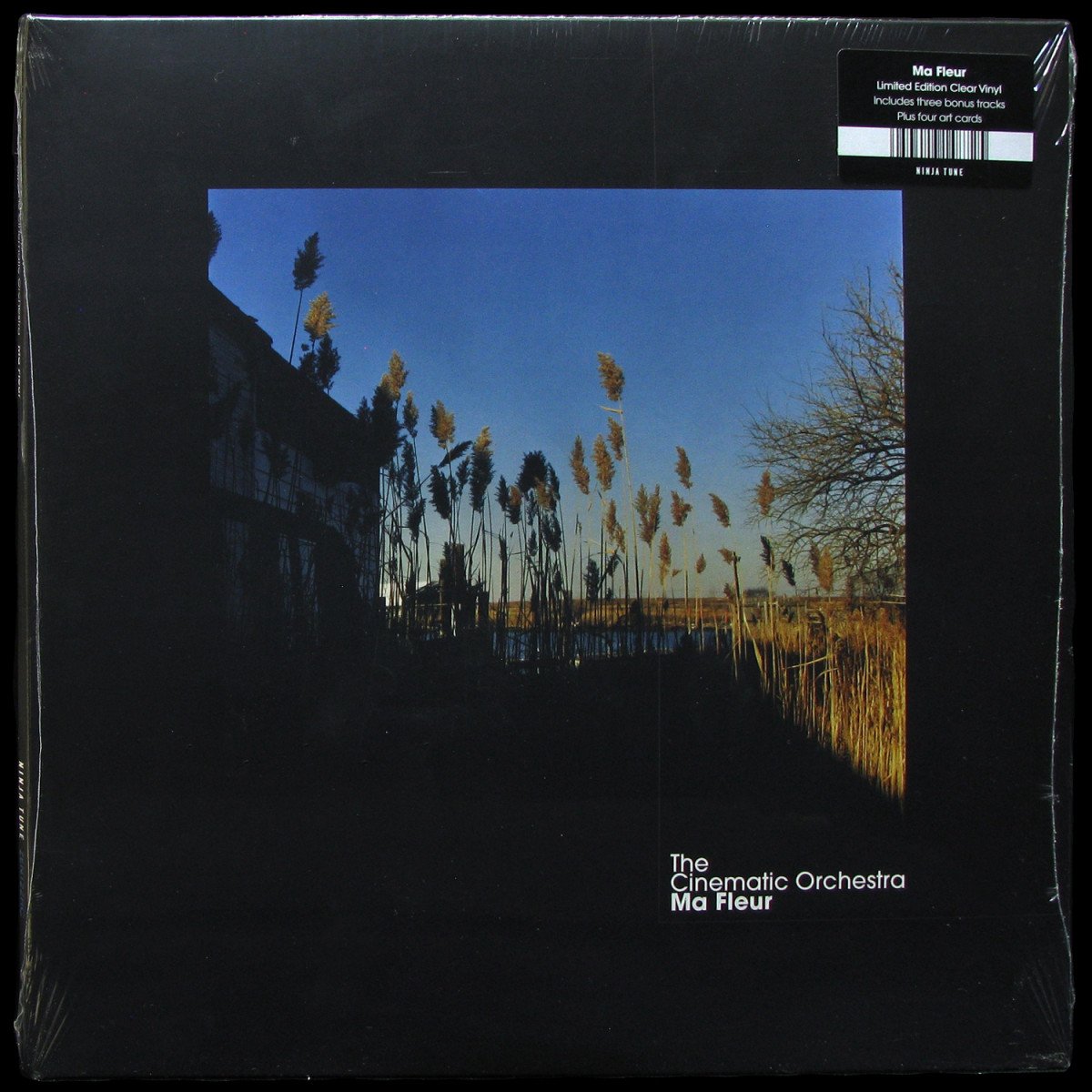 LP Cinematic Orchestra — Ma Fleur (2LP, coloured vinyl) фото