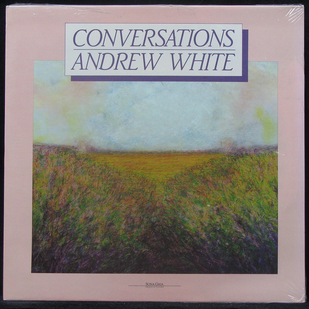 LP Andrew White — Conversations (sealed original) фото