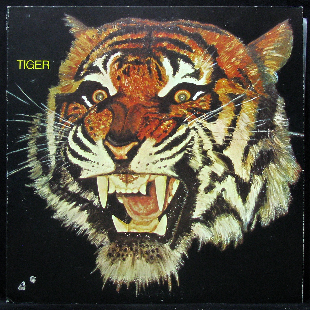 LP Tiger — Tiger фото