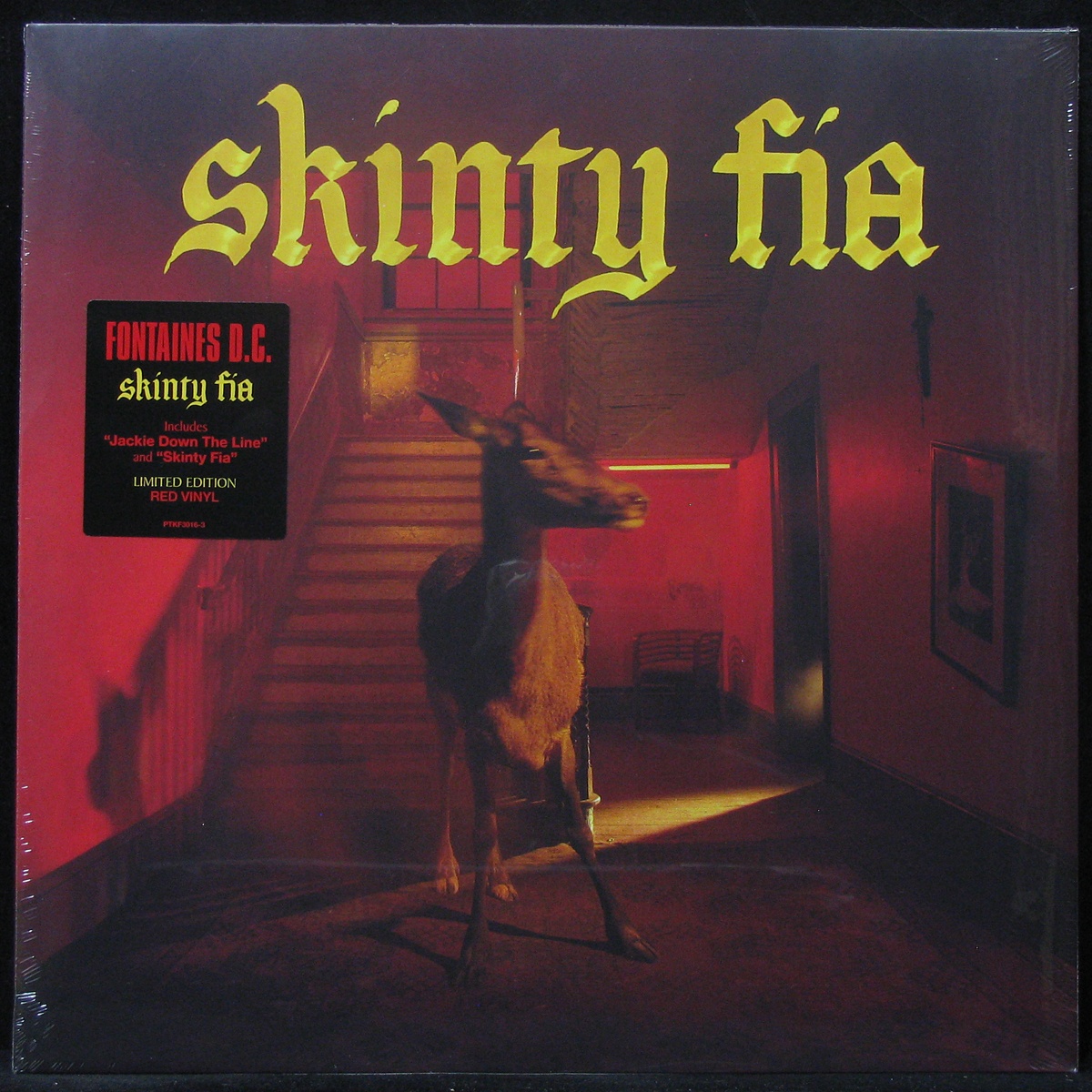 LP Fontaines D.C. — Skinty Fia (coloured vinyl) фото