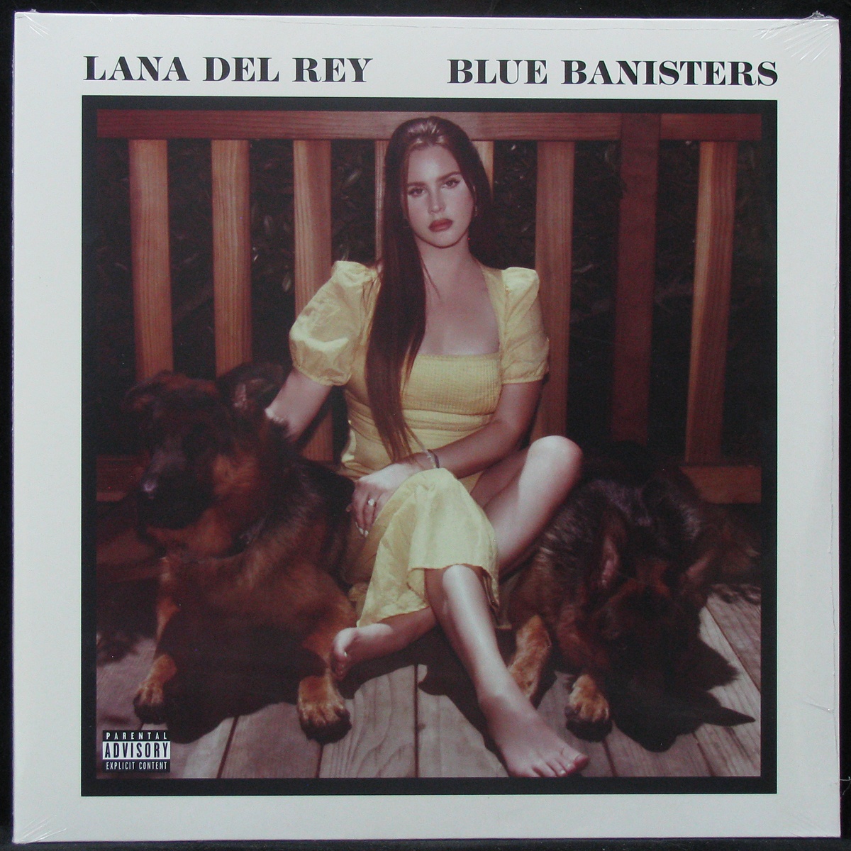 LP Lana Del Rey — Blue Banisters (2LP) фото
