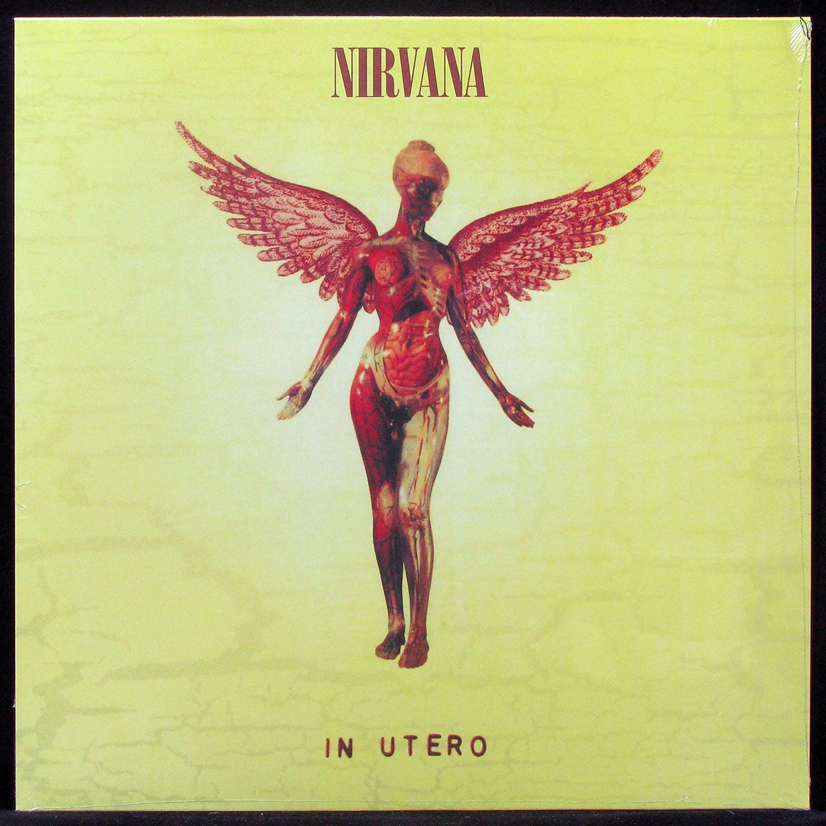 LP Nirvana — In Utero фото