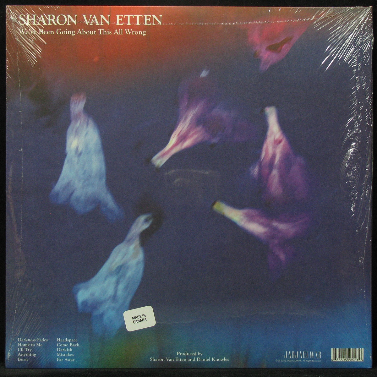 LP Sharon Van Etten — We've Been Going About This All Wrong фото 2