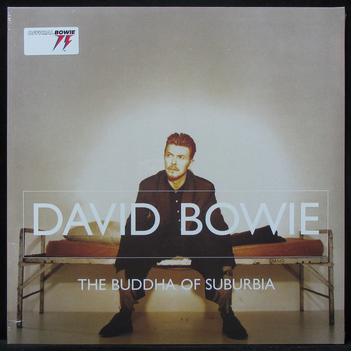 LP David Bowie — Buddha Of Suburbia (2LP) фото