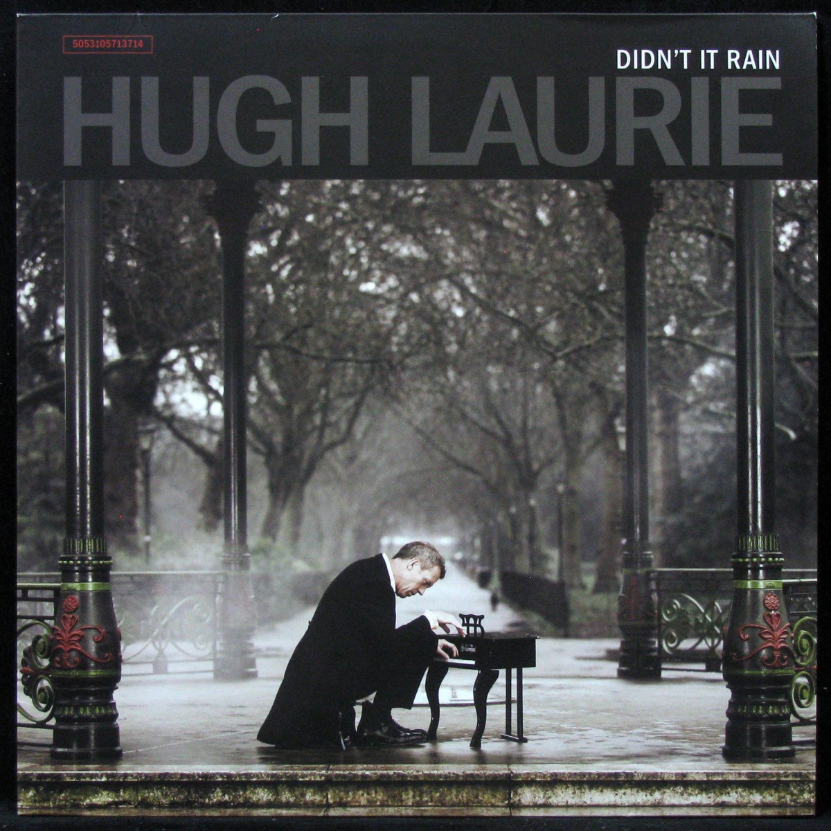 LP Hugh Laurie — Didn't It Rain (2LP) фото