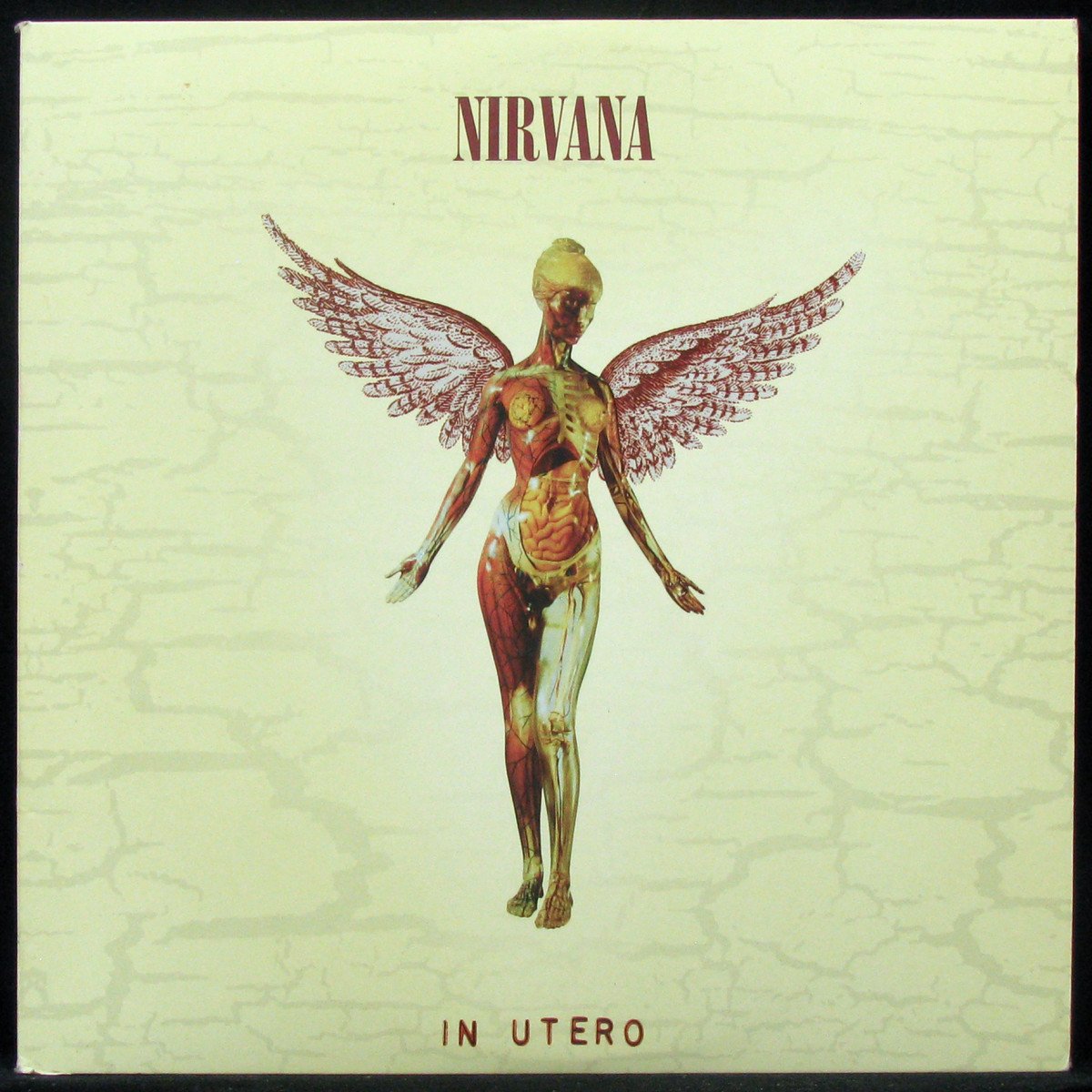 LP Nirvana — In Utero + B-Sides & Bonus Tracks (3LP) фото