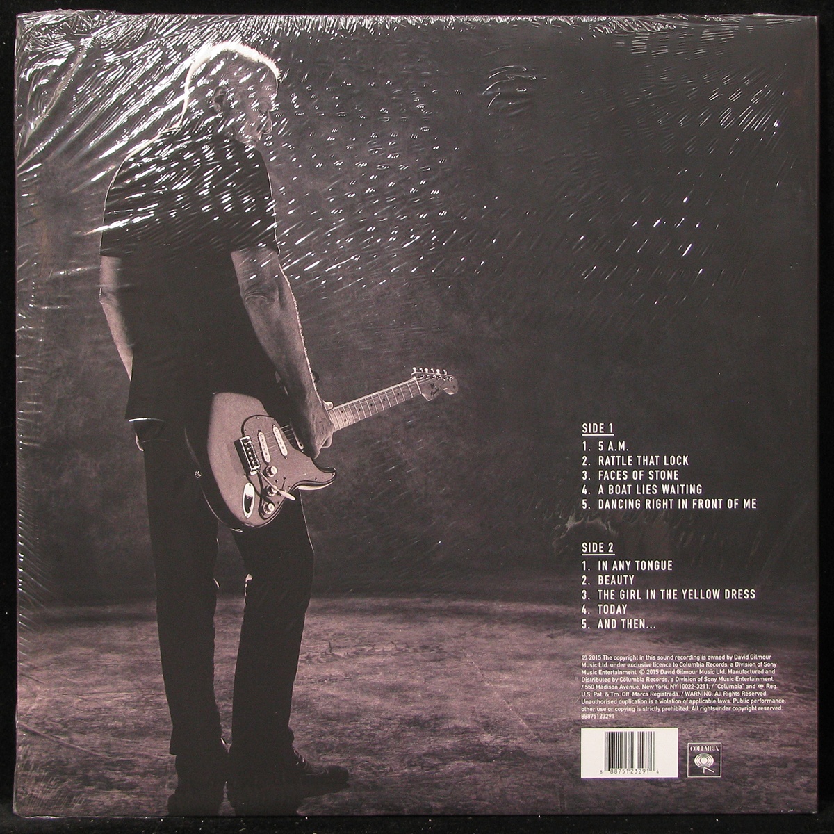 LP David Gilmour — Rattle That Lock (+ book) фото 2