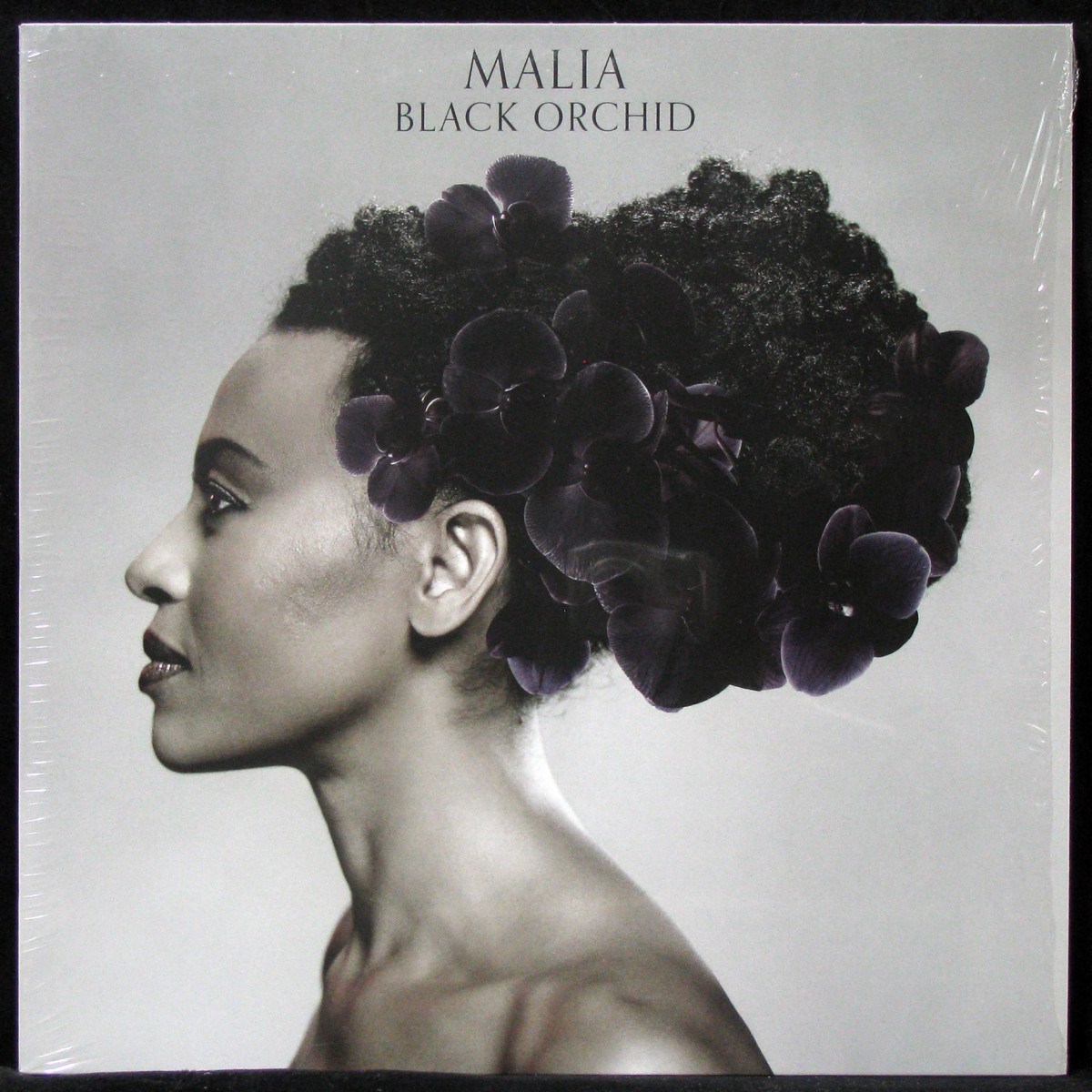 LP Malia — Black Orchid фото