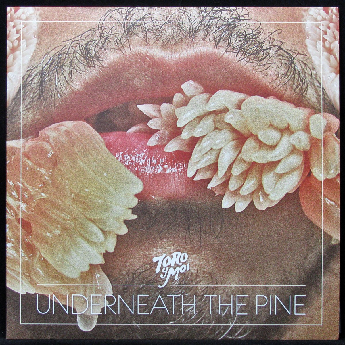 LP Toro Y Moi — Underneath The Pine (coloured vinyl) фото