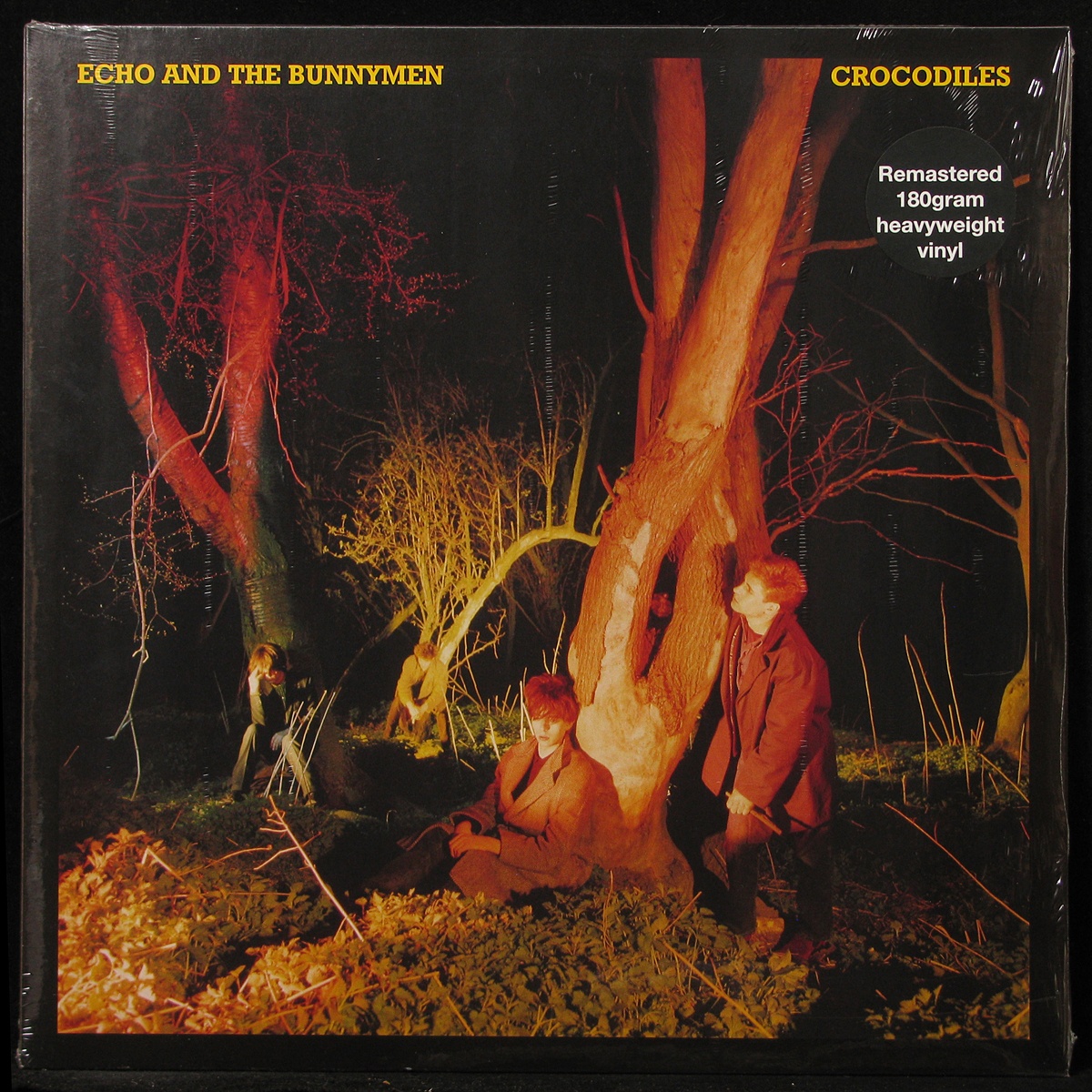 LP Echo & The Bunnymen — Crocodiles фото