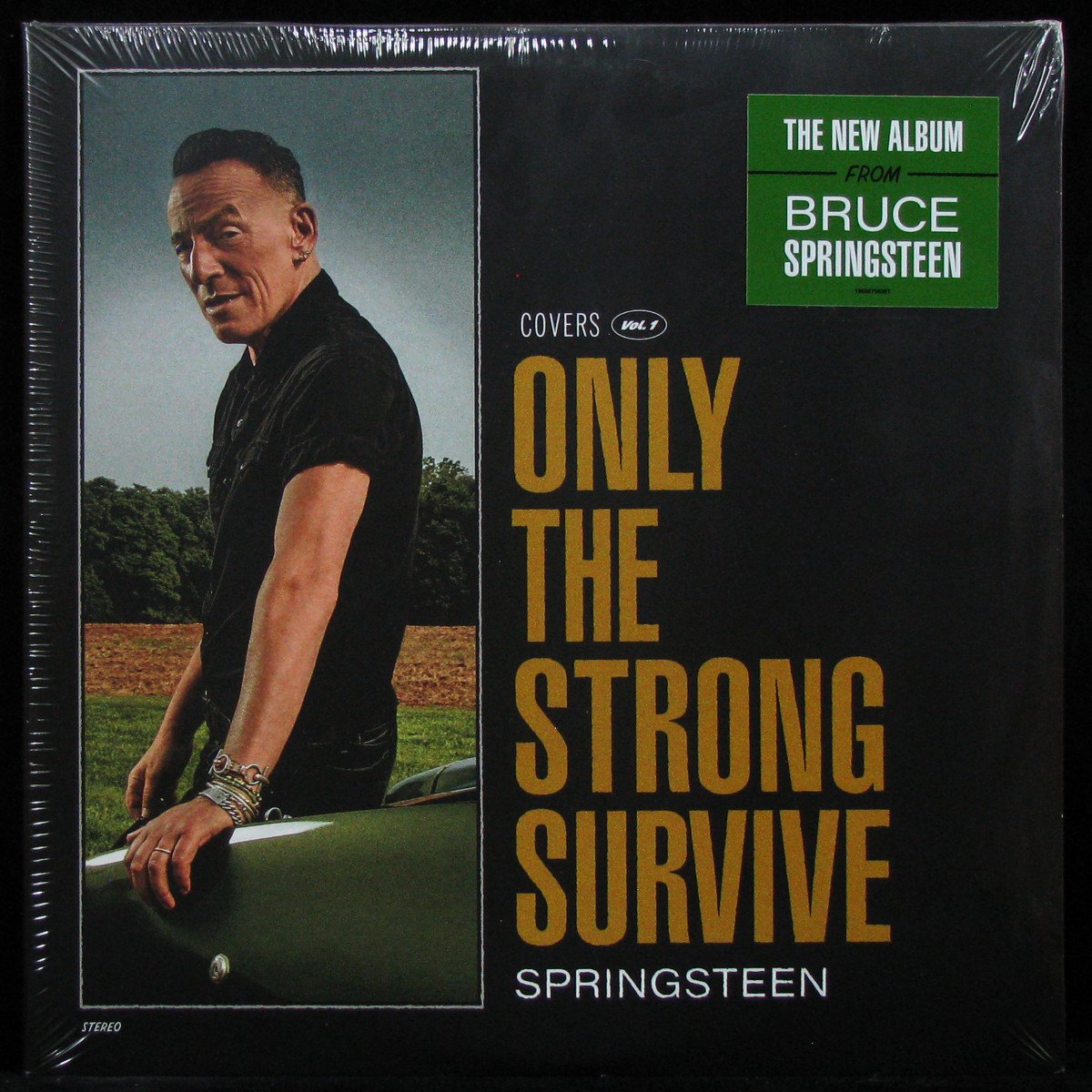 LP Bruce Springsteen — Only The Strong Survive (Covers Vol. 1) (2LP) фото