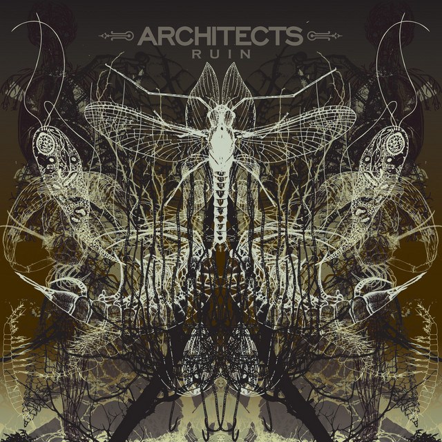 LP Architects — Ruin фото
