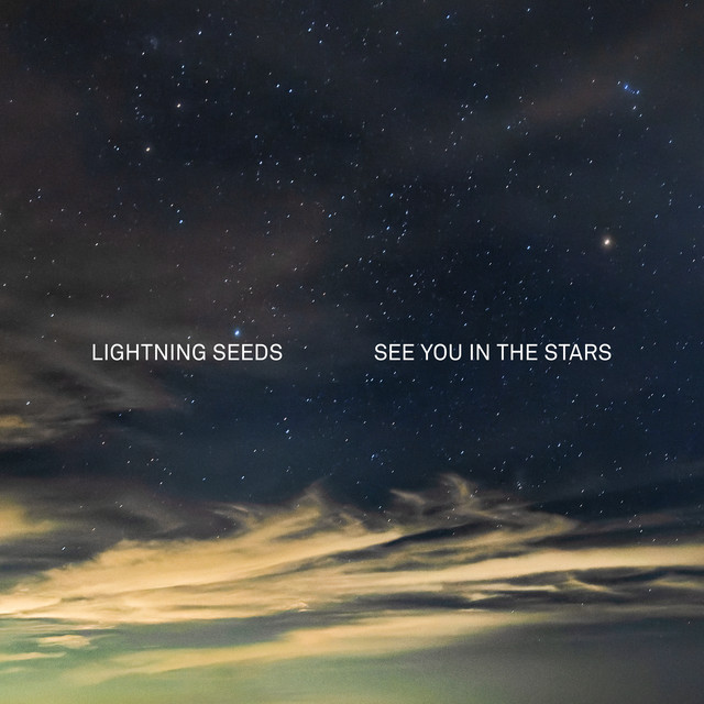 LP Lightning Seeds — See You In The Stars (coloured vinyl) фото