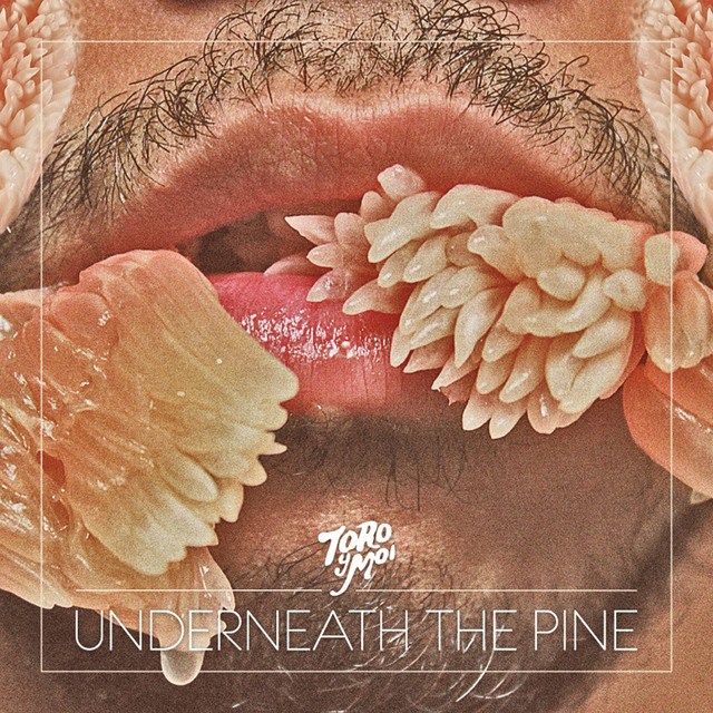 LP Toro Y Moi — Underneath The Pine фото