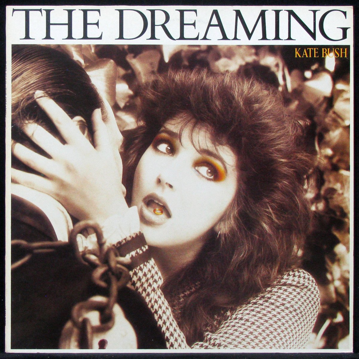 US盤　　KATE BUSH    the dreaming　　　レコード