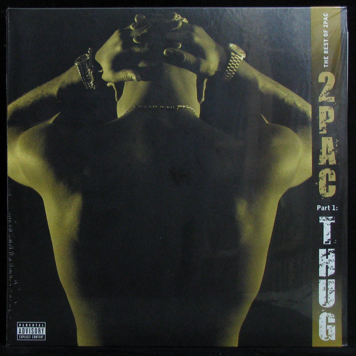 LP 2Pac — Best Of 2Pac - Part 1: Thug (2LP) фото