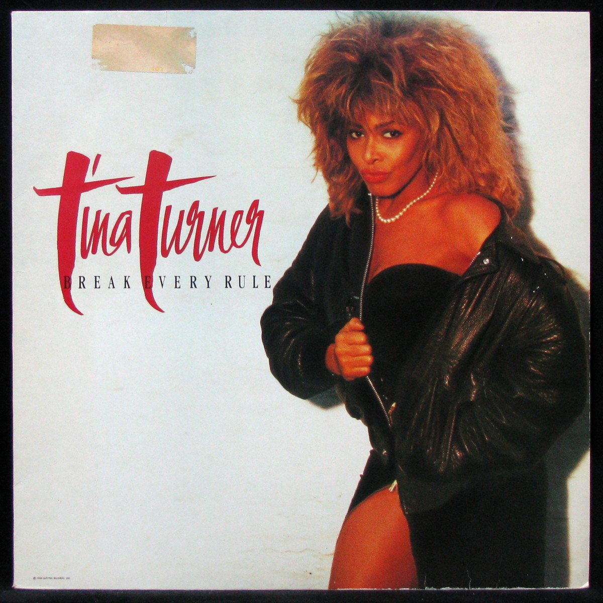 LP Tina Turner — Break Every Rule фото