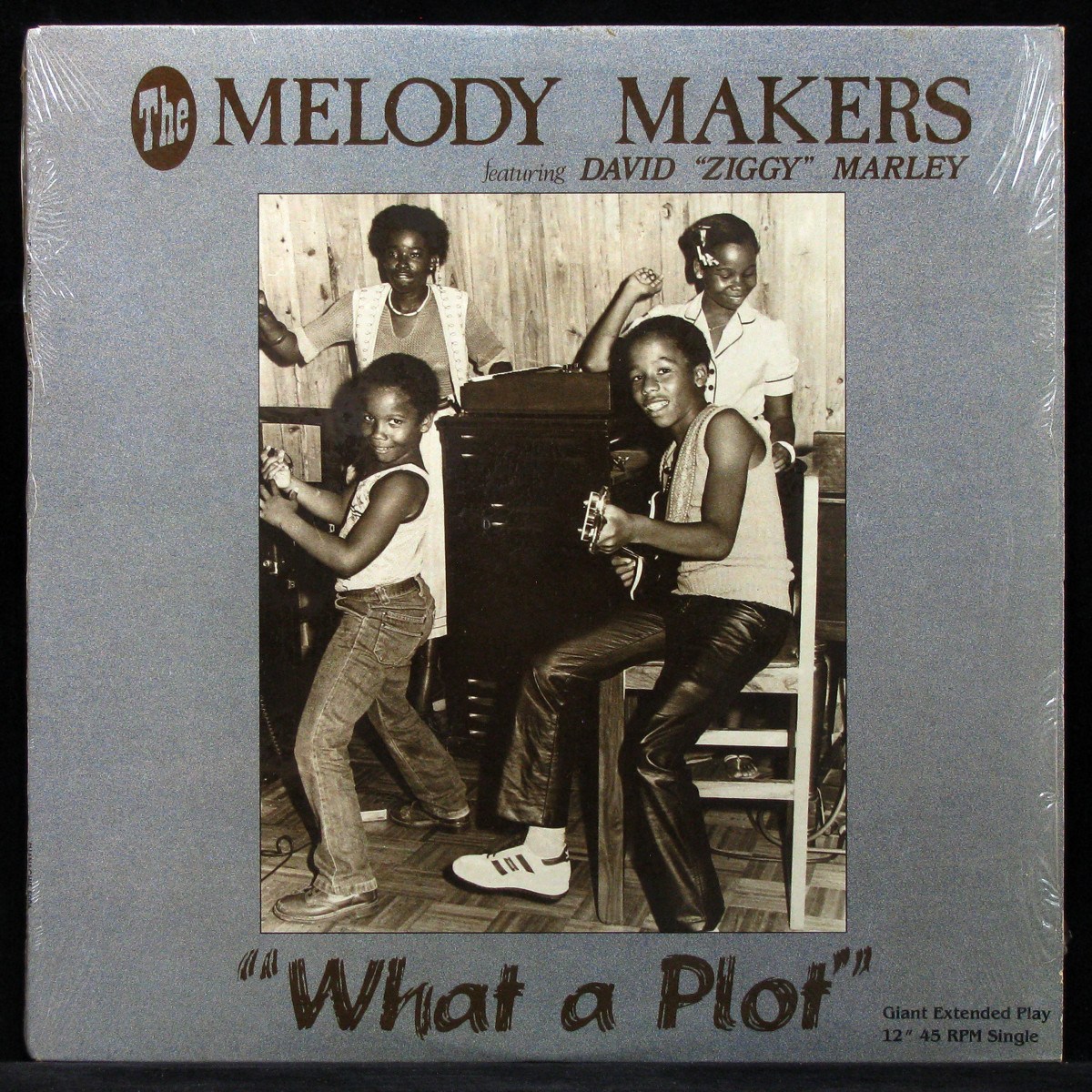 LP Melody Makers / David 'Ziggy' Marley — What A Plot / Children Playing In The Street (maxi) фото