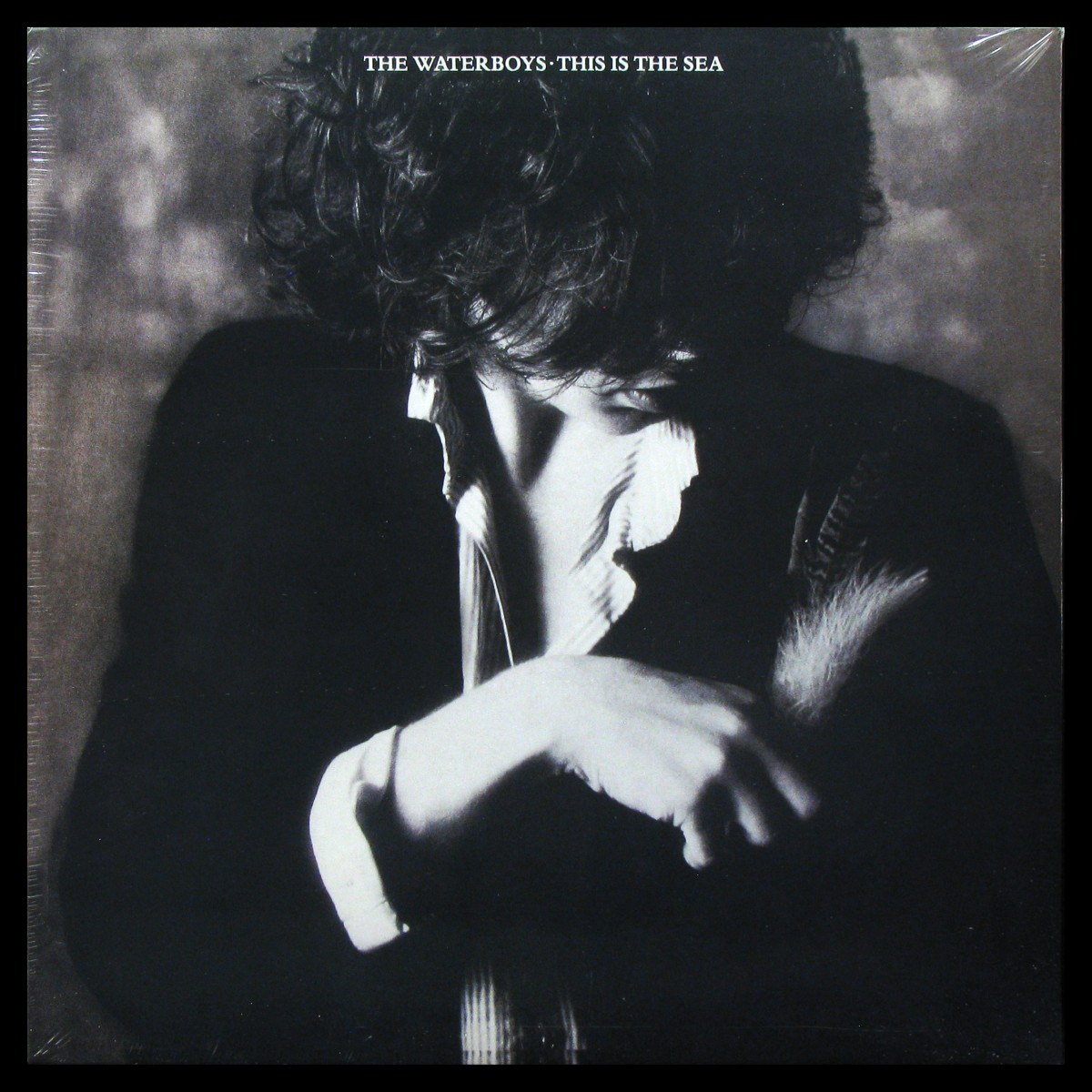 LP Waterboys — This Is The Sea фото
