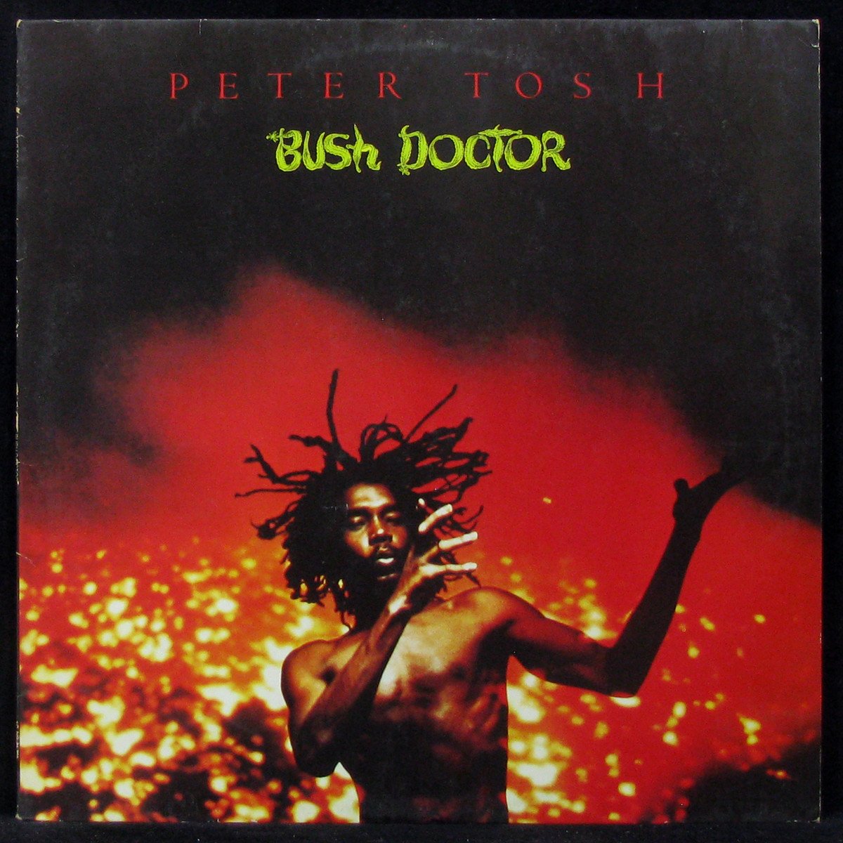 LP Peter Tosh — Bush Doctor фото