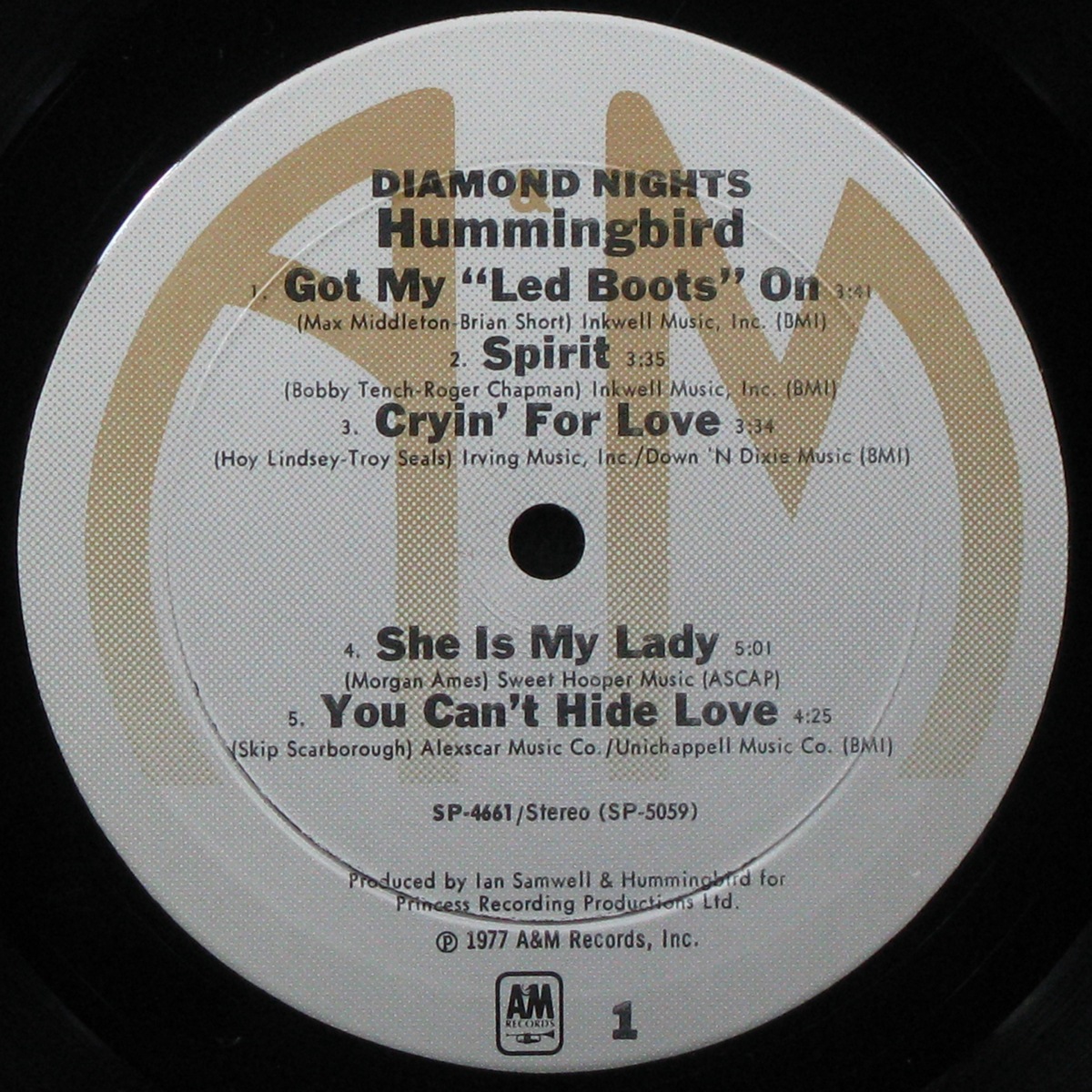 LP Hummingbird — Diamond Nights фото 2