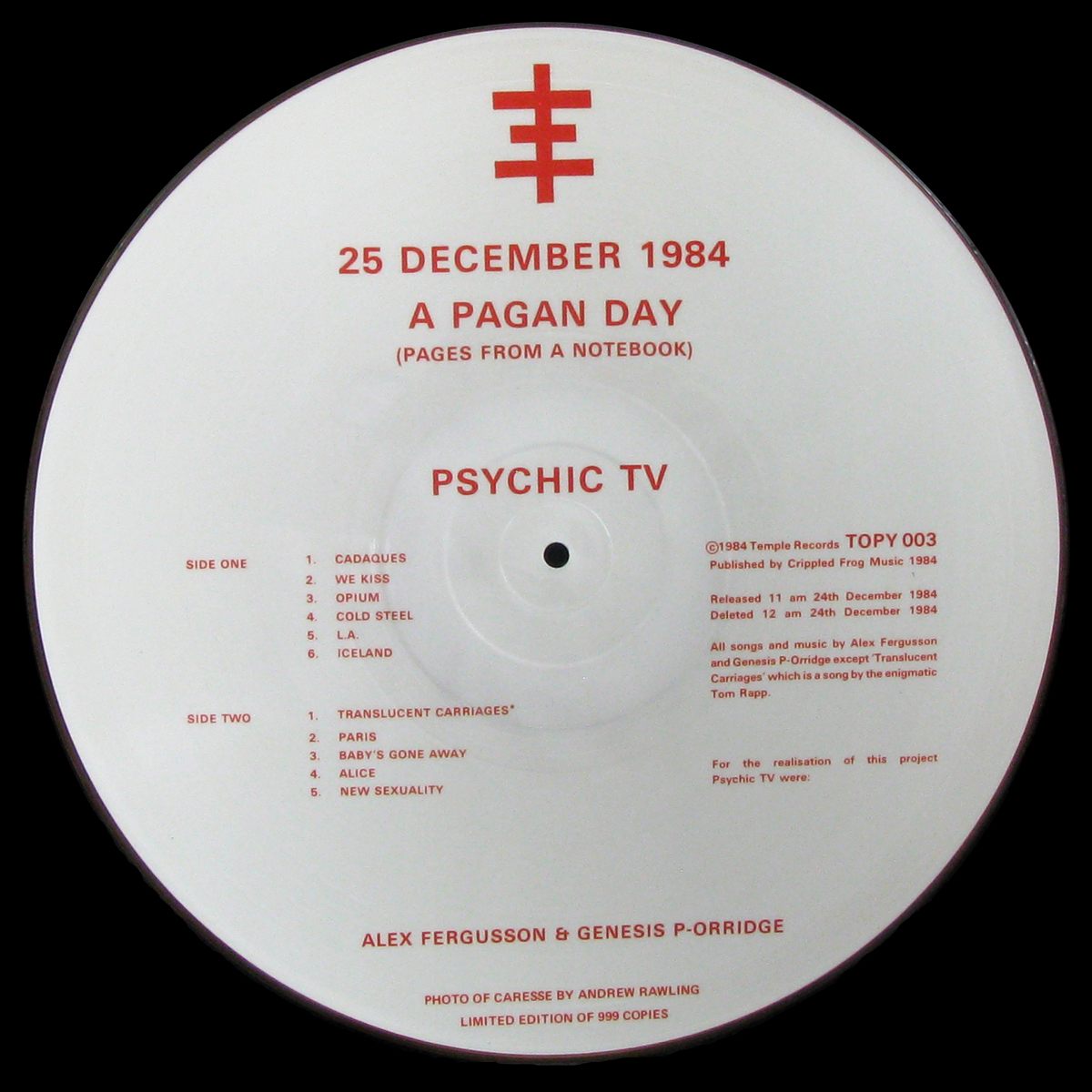 LP Psychic TV — A Pagan Day (Pages From A Notebook) (picture disc) фото 4