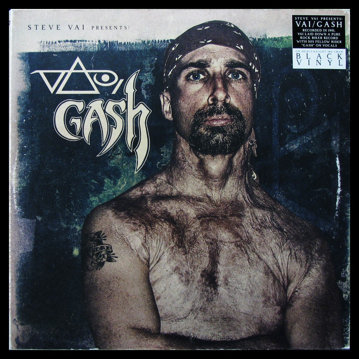 LP Steve Vai — Vai / Gash фото