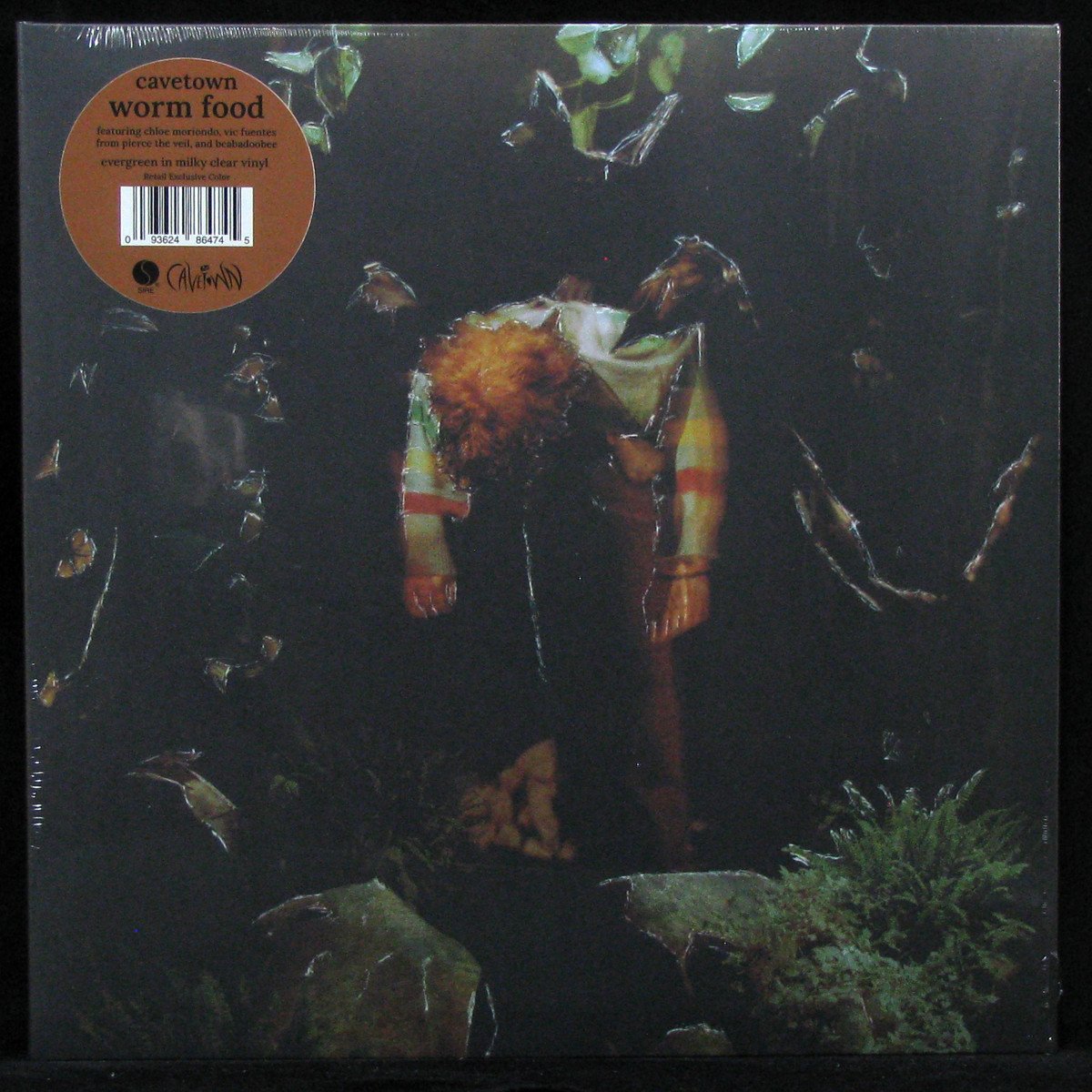 LP Cavetown — Worm Food (coloured vinyl) фото