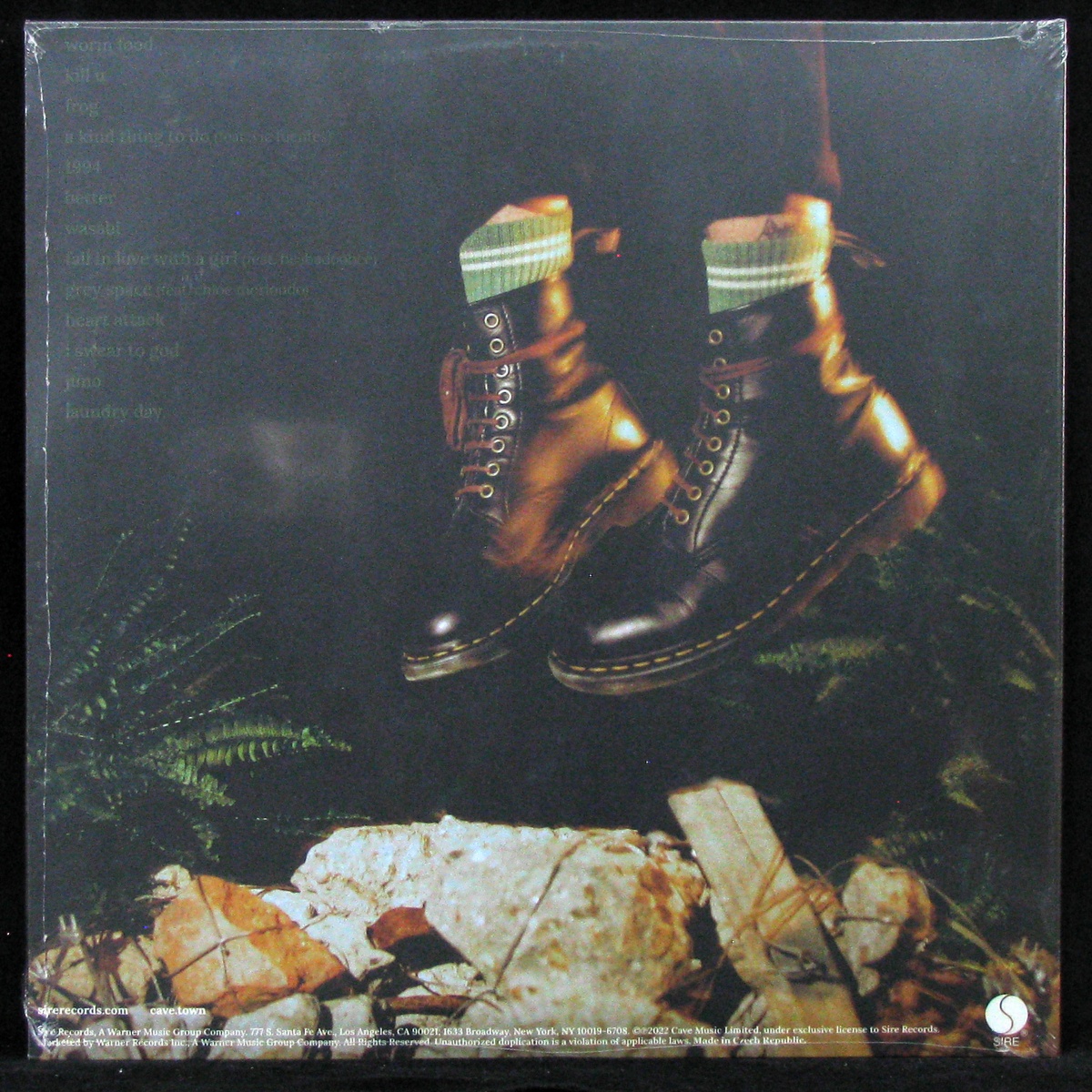 LP Cavetown — Worm Food (coloured vinyl) фото 2
