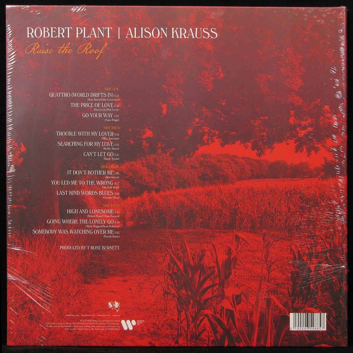 LP Robert Plant / Alison Krauss — Raise The Roof (2LP, coloured vinyl) фото 2