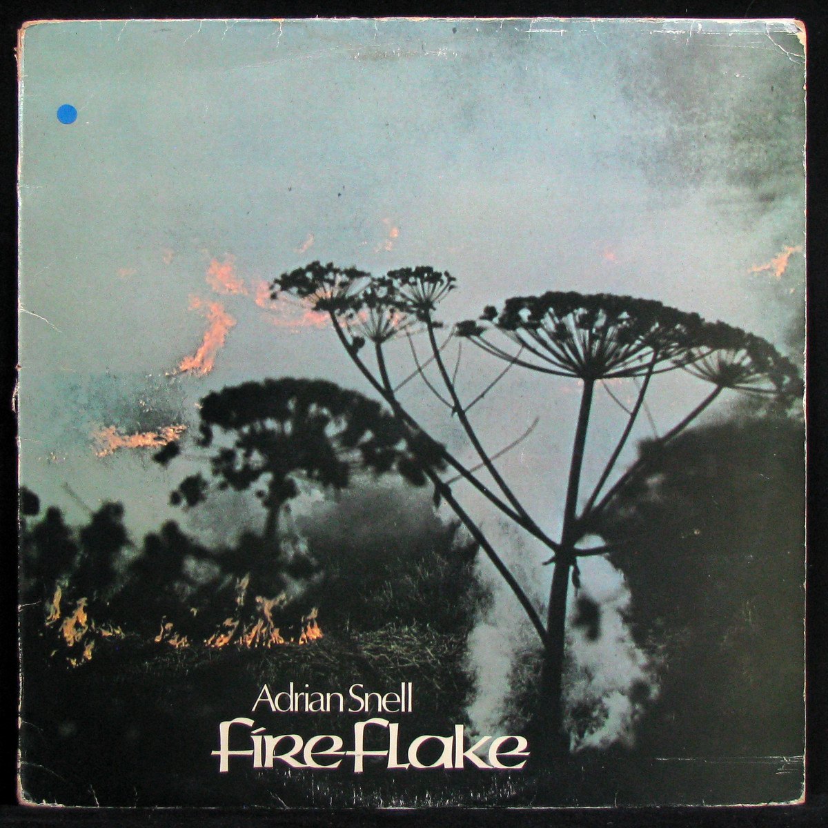 LP Adrian Snell — FireFlake фото