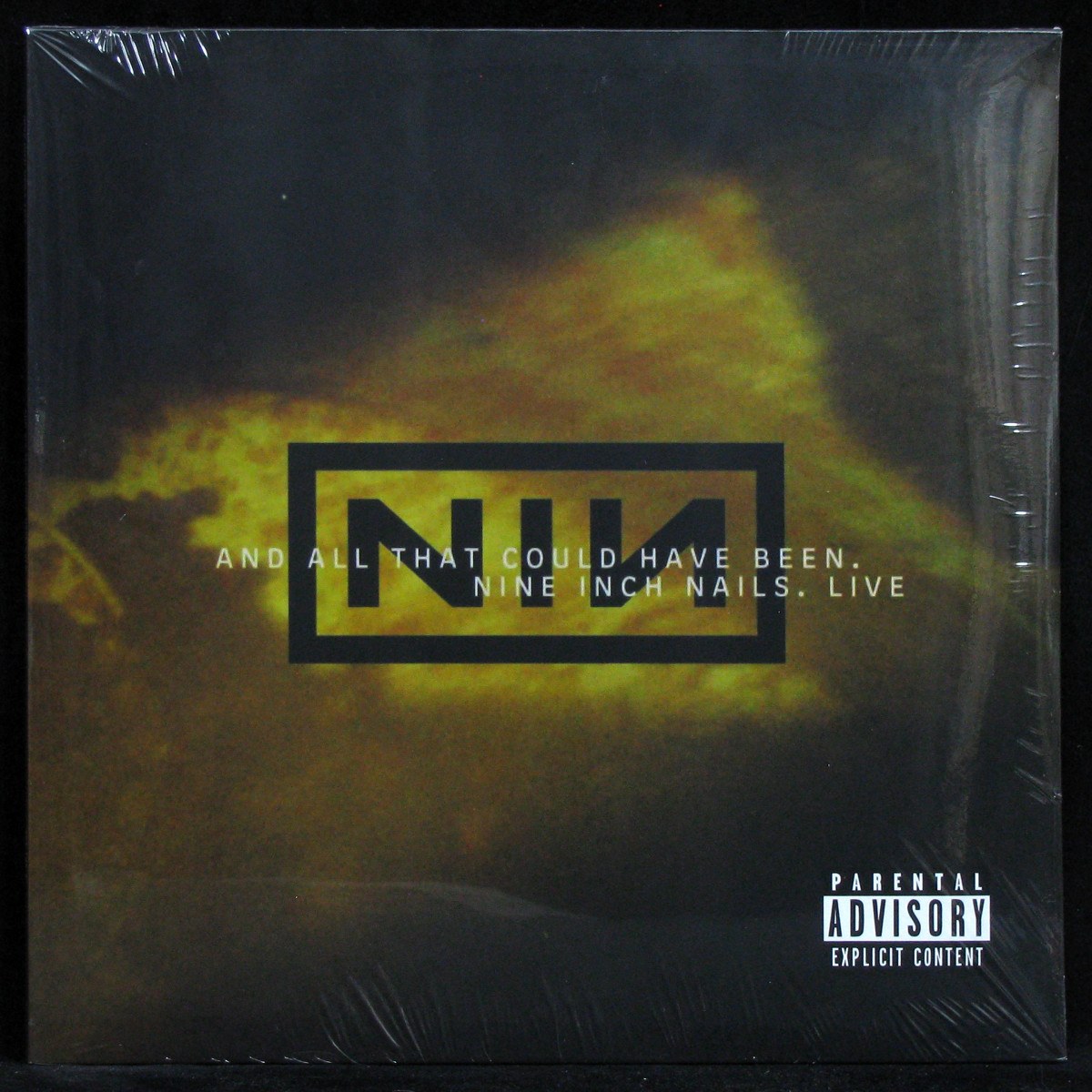 LP Nine Inch Nails — And All That Could Have Been (Live) (2LP, coloured vinyl) фото